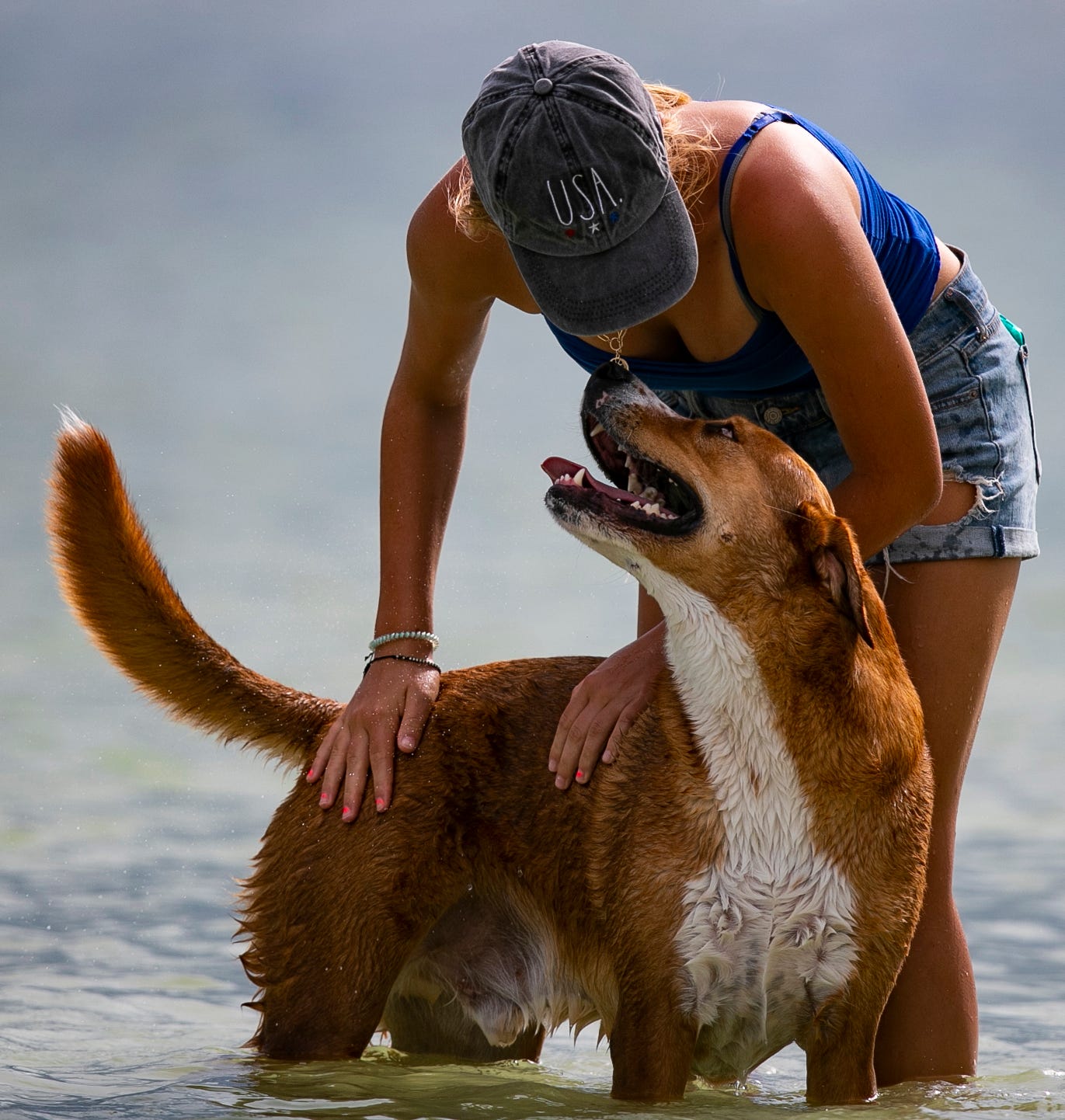 are dogs allowed on beach at sanibel island by lighthouse