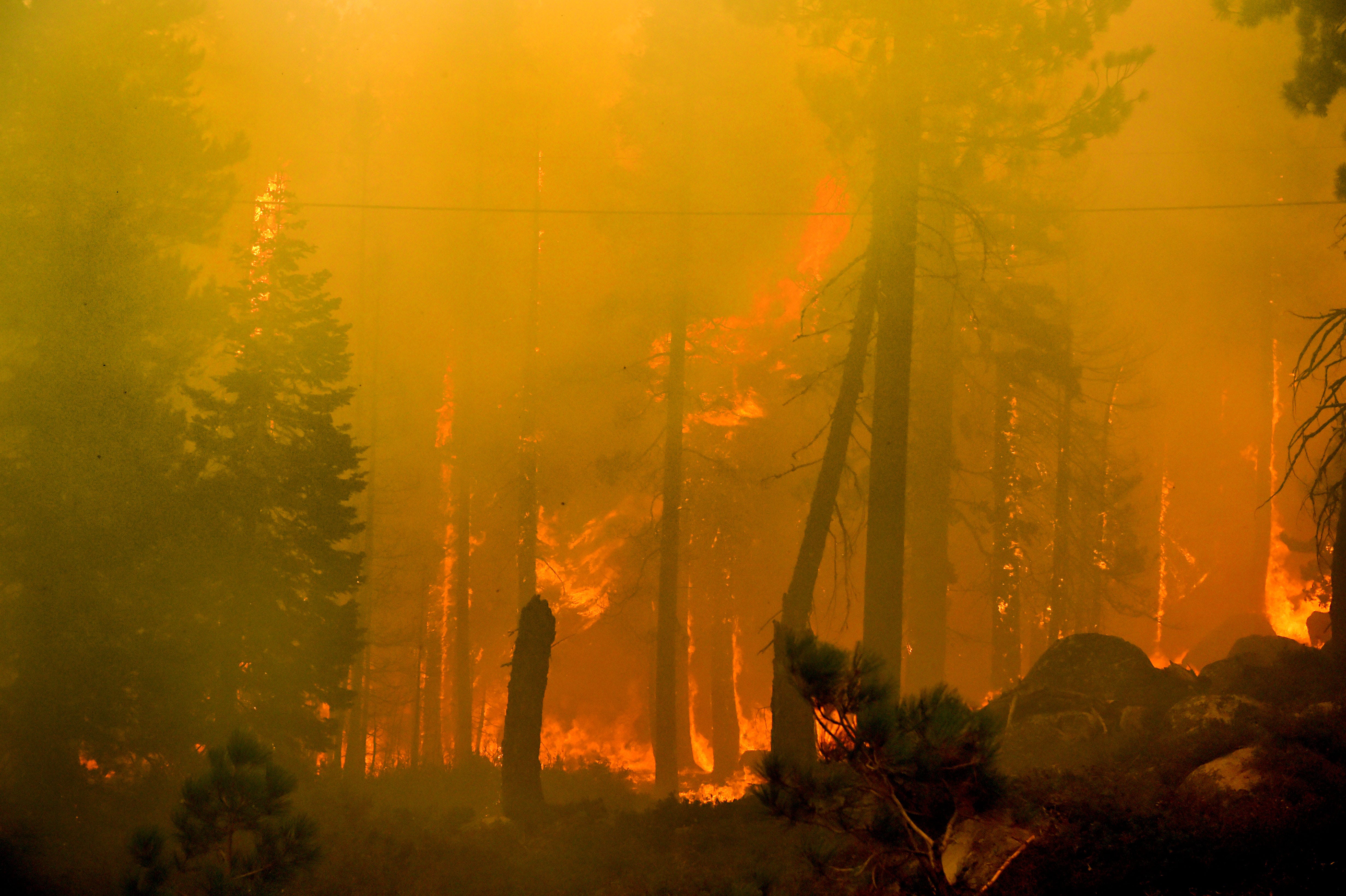 caldor fire fallen leaf lake