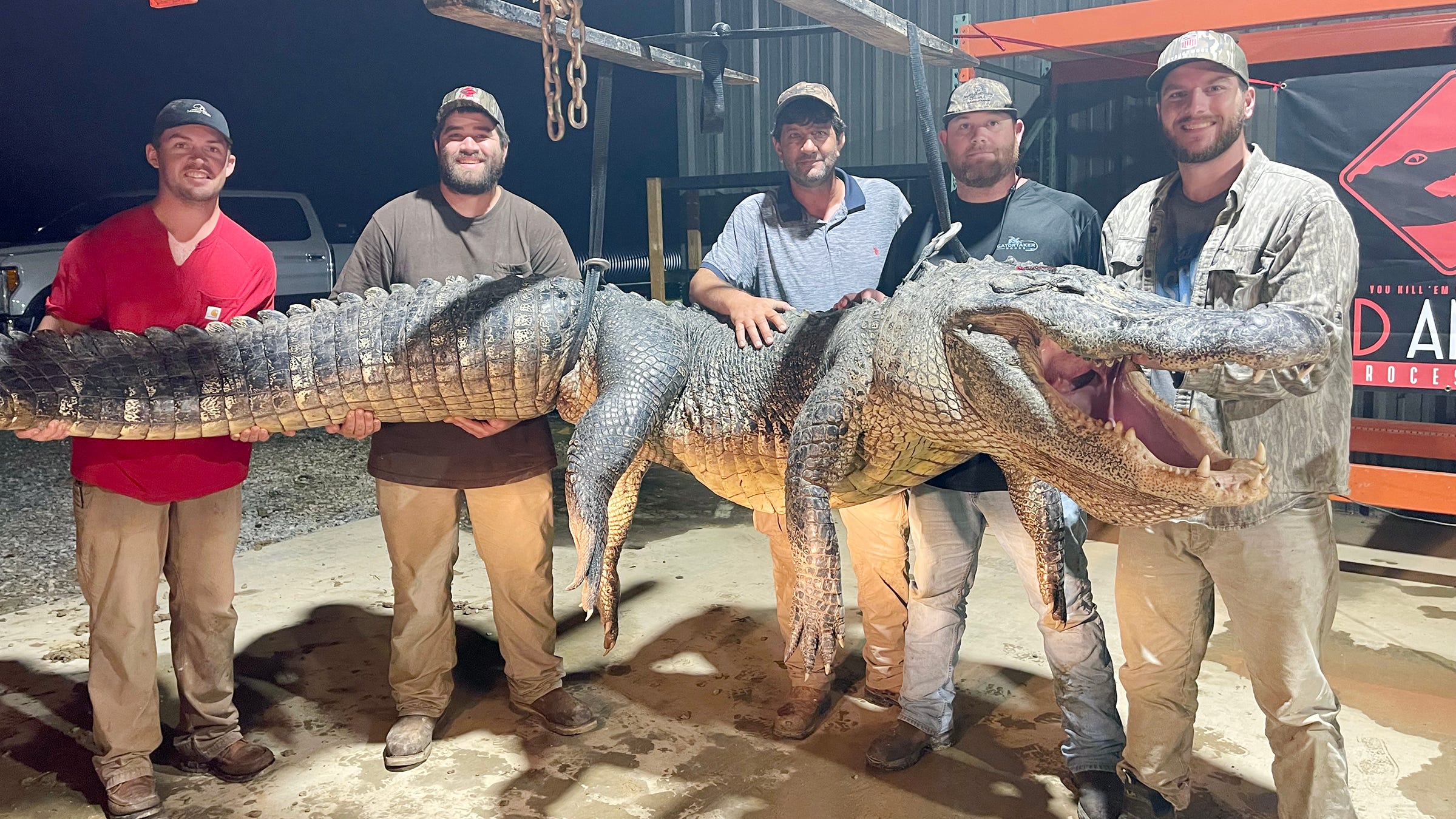 Mississippi hunters land 787pound, 13foot alligator in Yazoo River