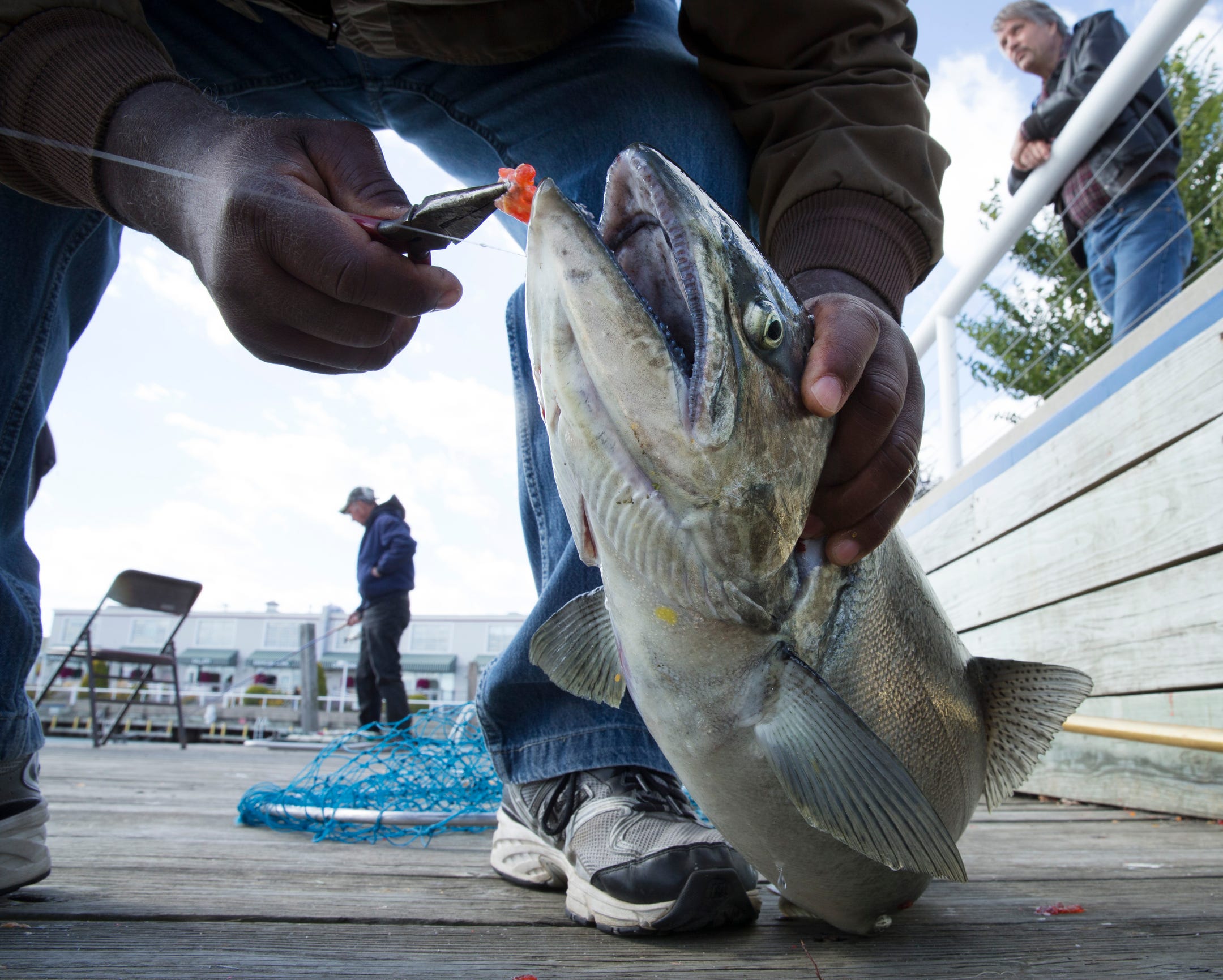 Fishing Program Gives Veterans a Day on the Ocean