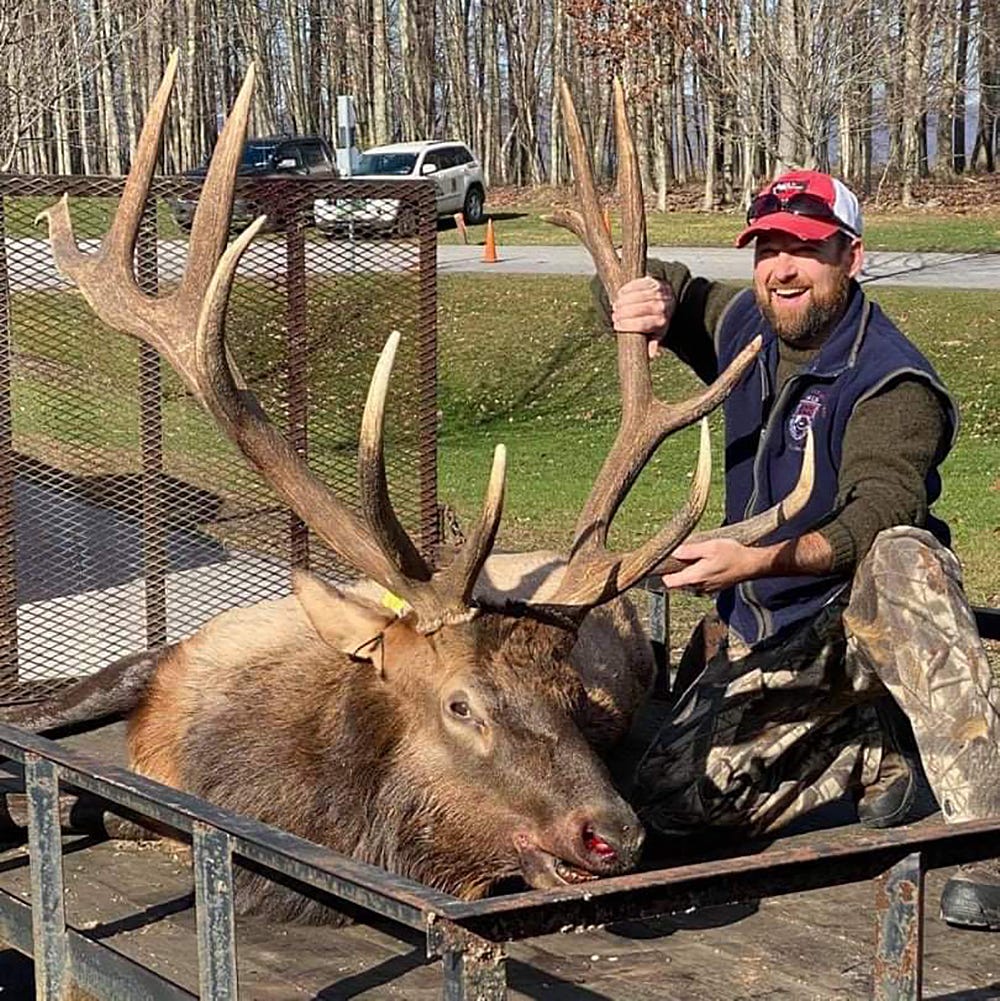 Many Options Await Those Lucky Winners Of Pa. Elk Tags