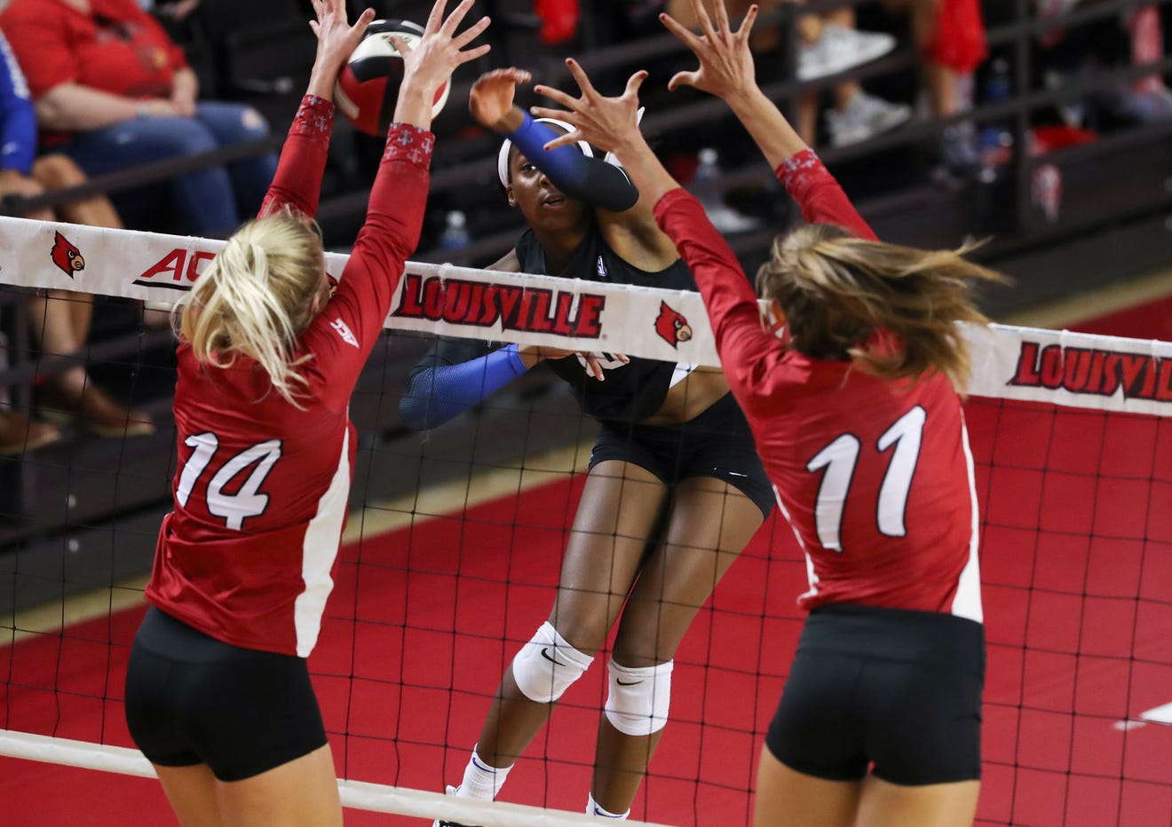 Louisville volleyball How Anna Stevenson is vital part of team