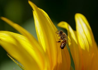 farm photo essay