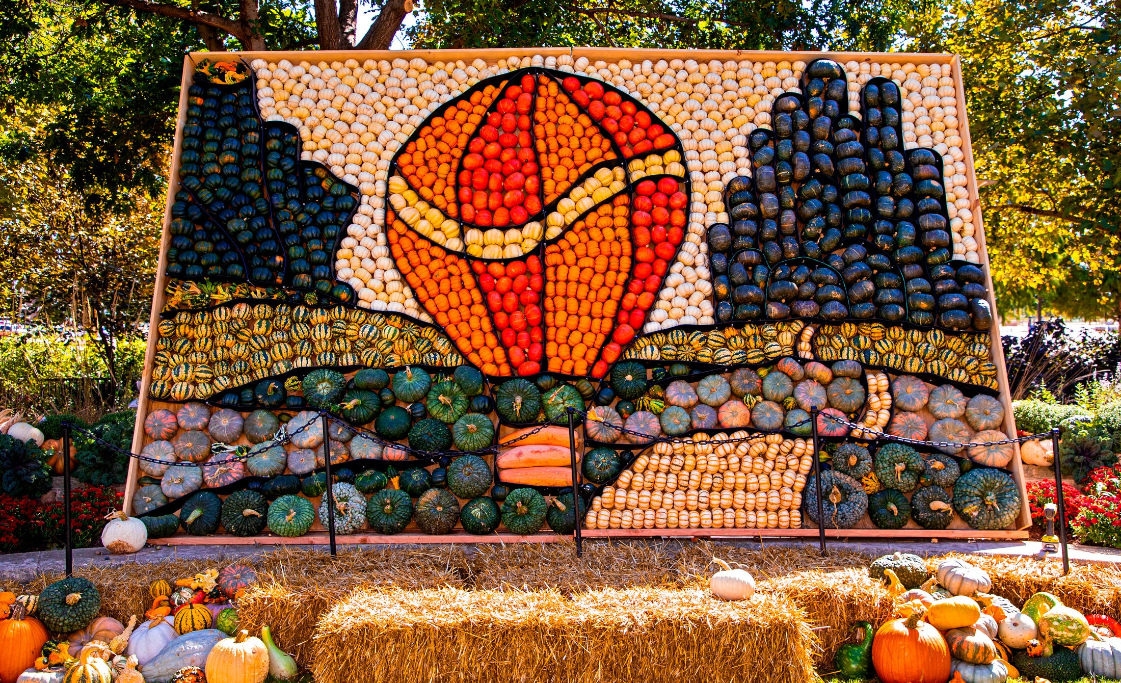 green bridge gardens pumpkin patch