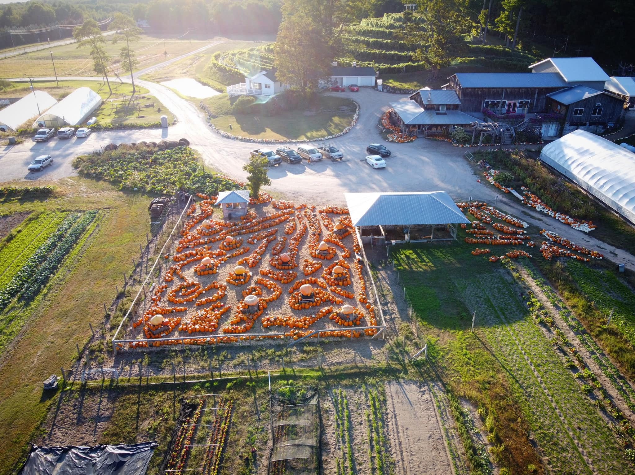 petoskey pumpkin patch