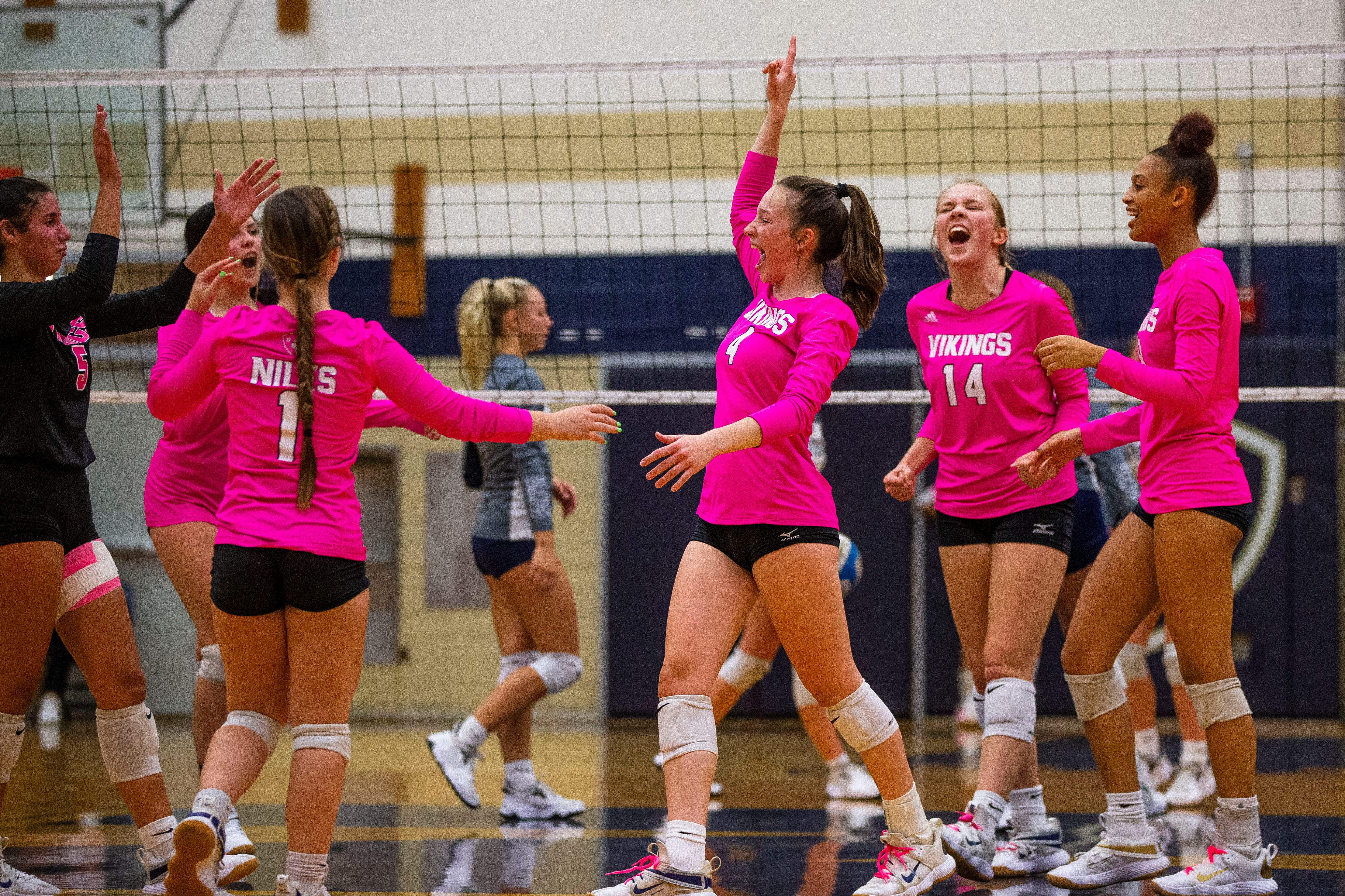 Michigan High School Volleyball: Niles Beats Edwardsburg For District Title