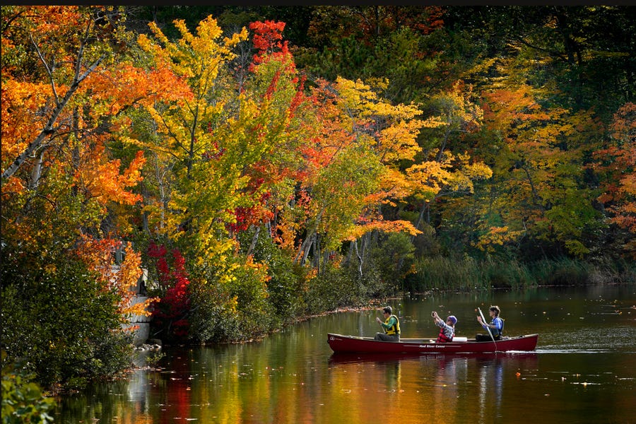 A passenger on a canoe photographs the brilliant fall foliage on South Pond, Saturday, Oct. 9, 2021, in Bryant Point, Maine. Autumn leaves are reaching peak colors in much of the state. 