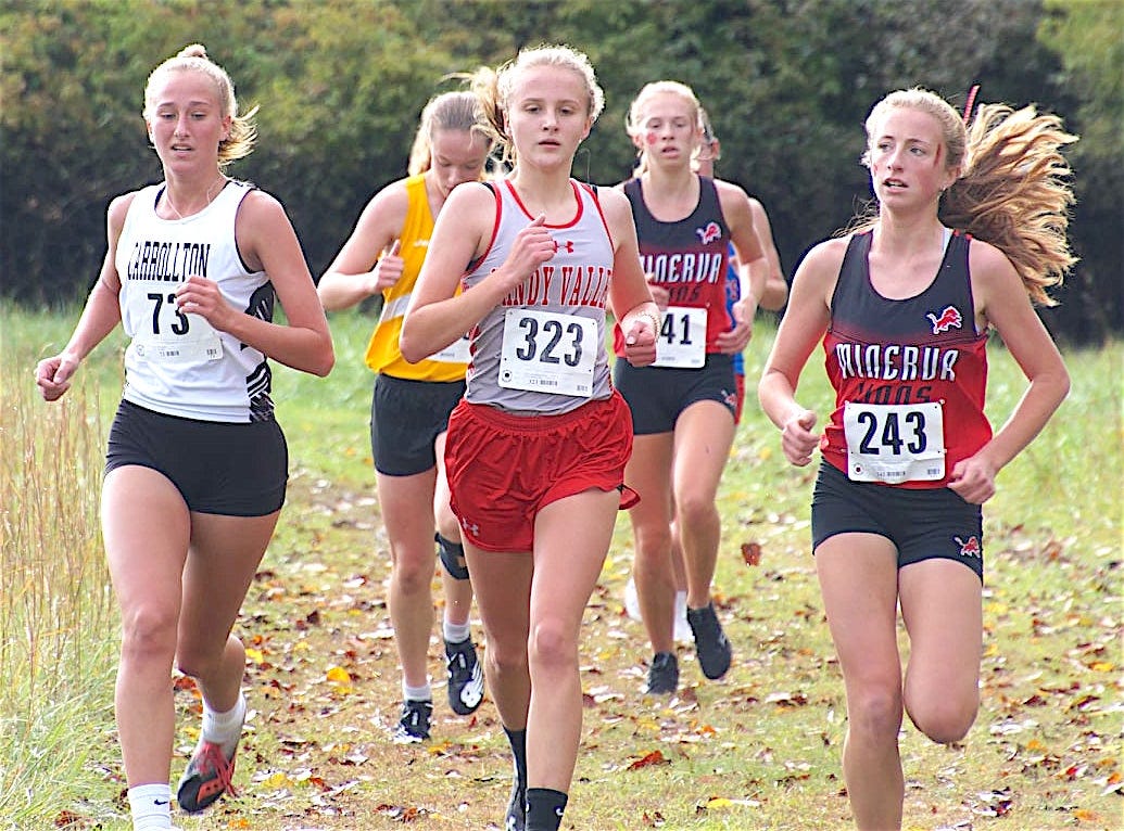 Sandy Valley, Minerva cross nation win OHSAA district championships