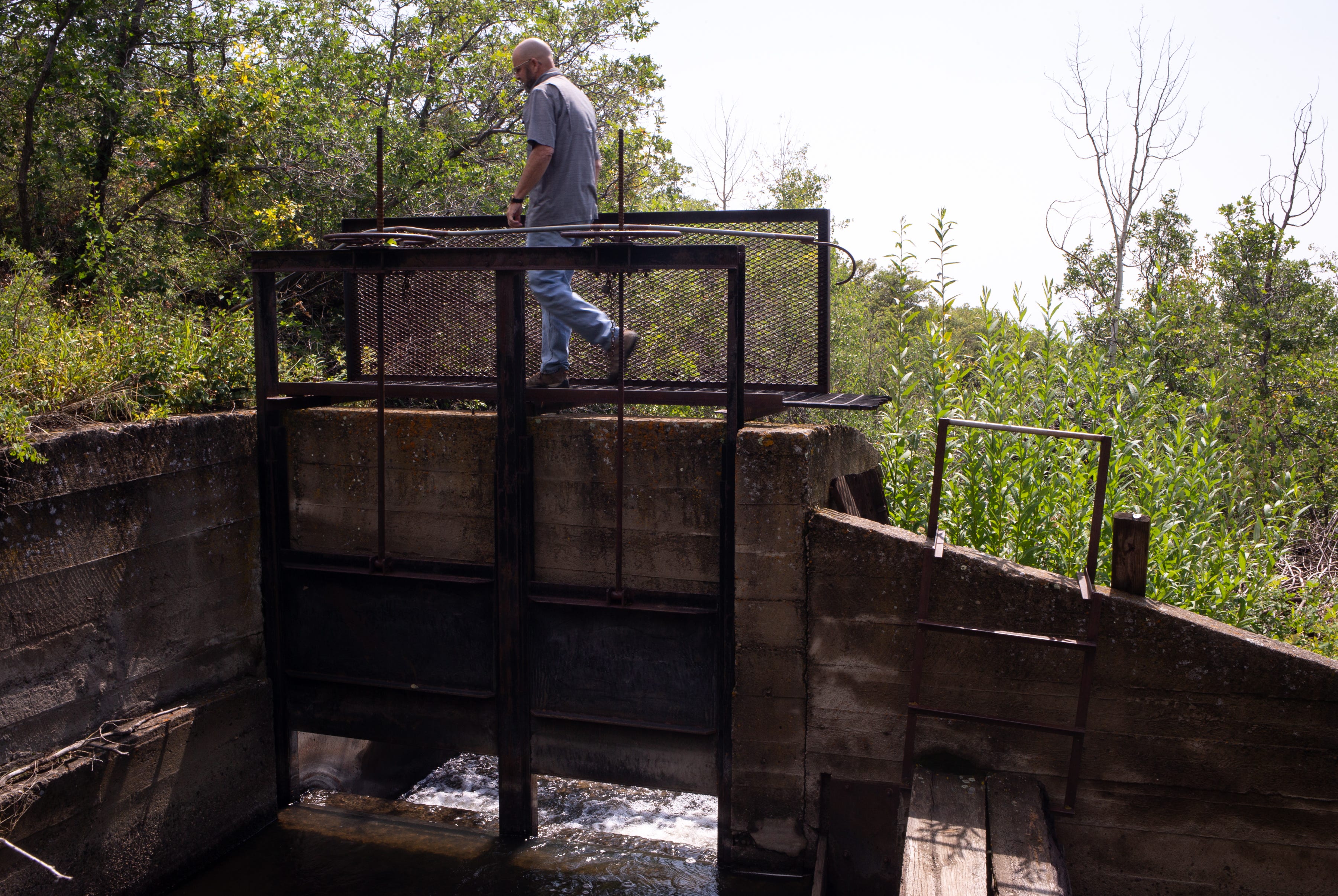 Lead water Commissioner James Holiman walks across the Big Ditch headgate on Aug. 20, 2021, north of Cedaredge, Colorado. The Big Ditch starts at Ward Creek and moves water laterally across Grand Mesa from west to east.