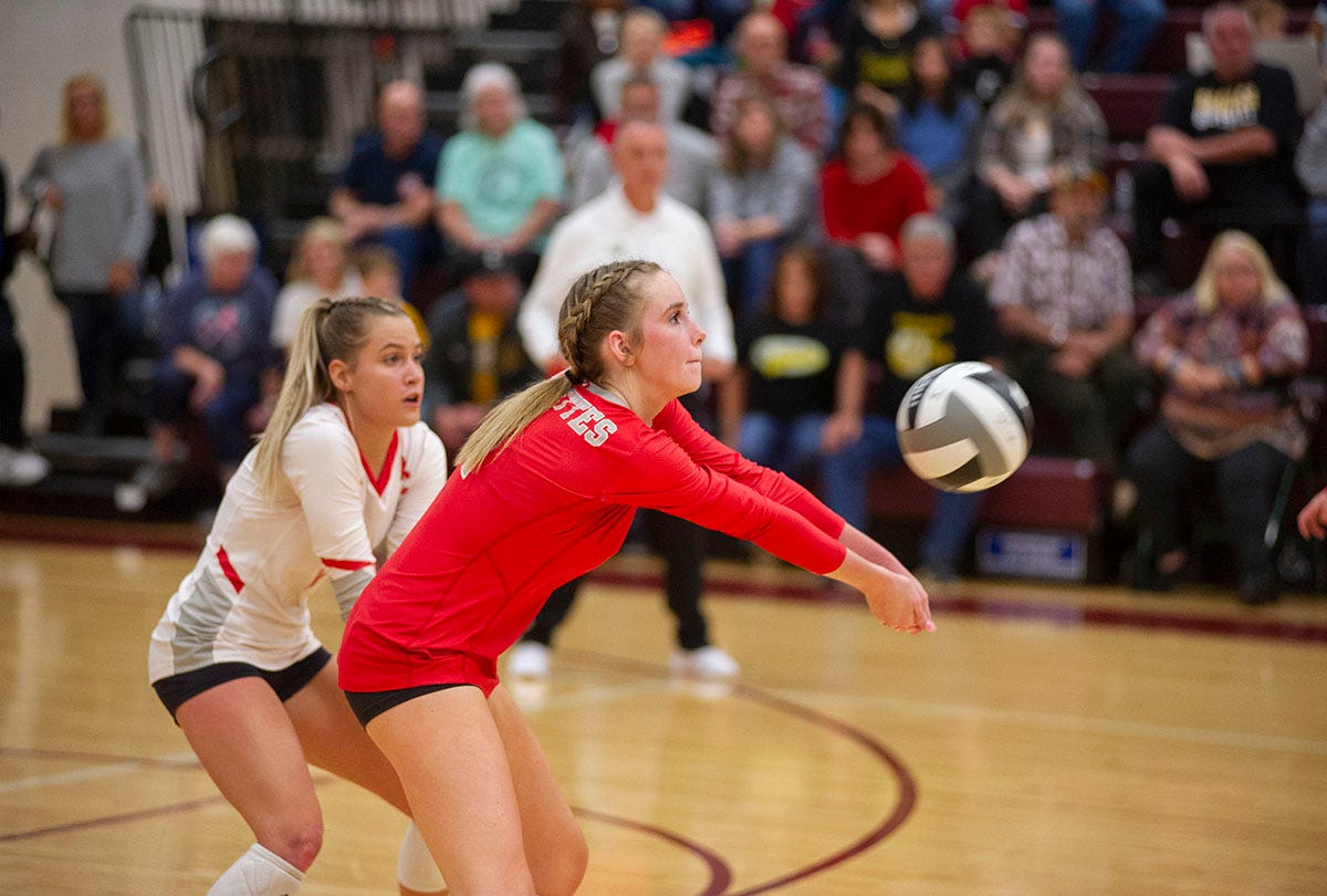 Five Buckettes earn D-IV All-District 6 volleyball, McDougal co-COTY