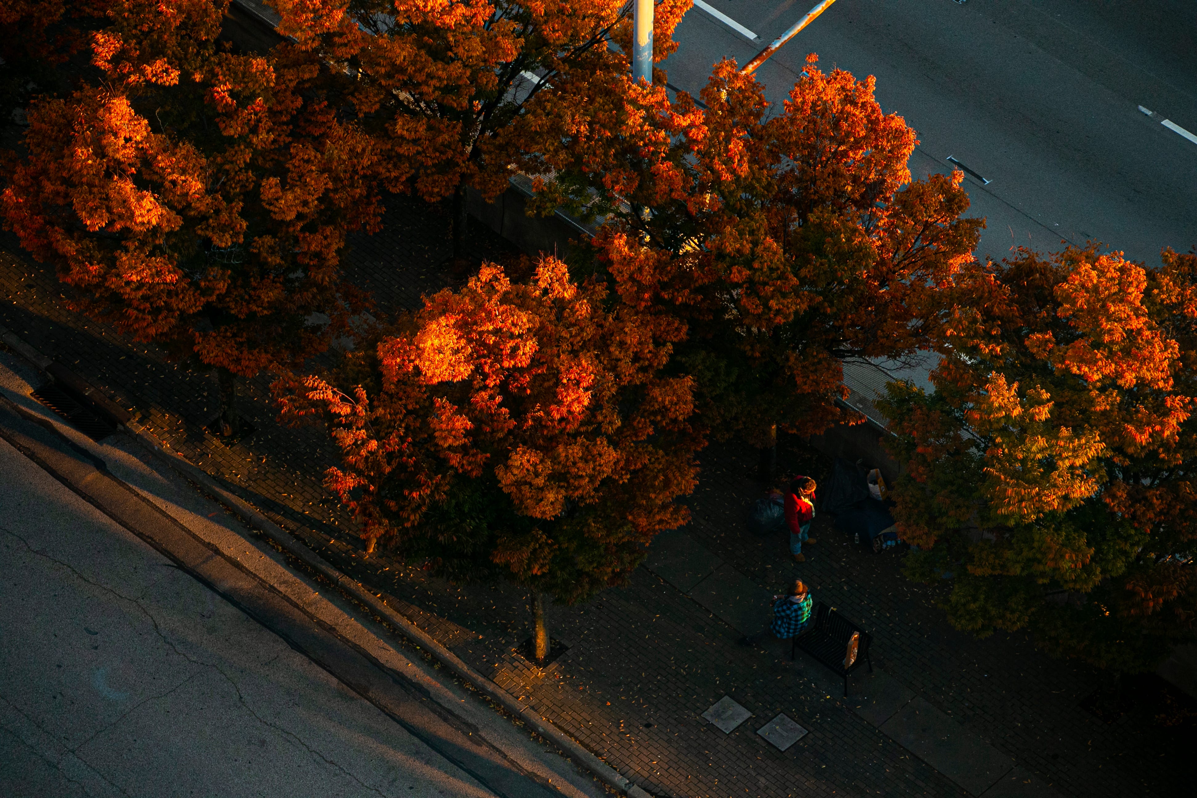 Fall Colors: When Leaves Are Expected To Change In Ohio, Kentucky