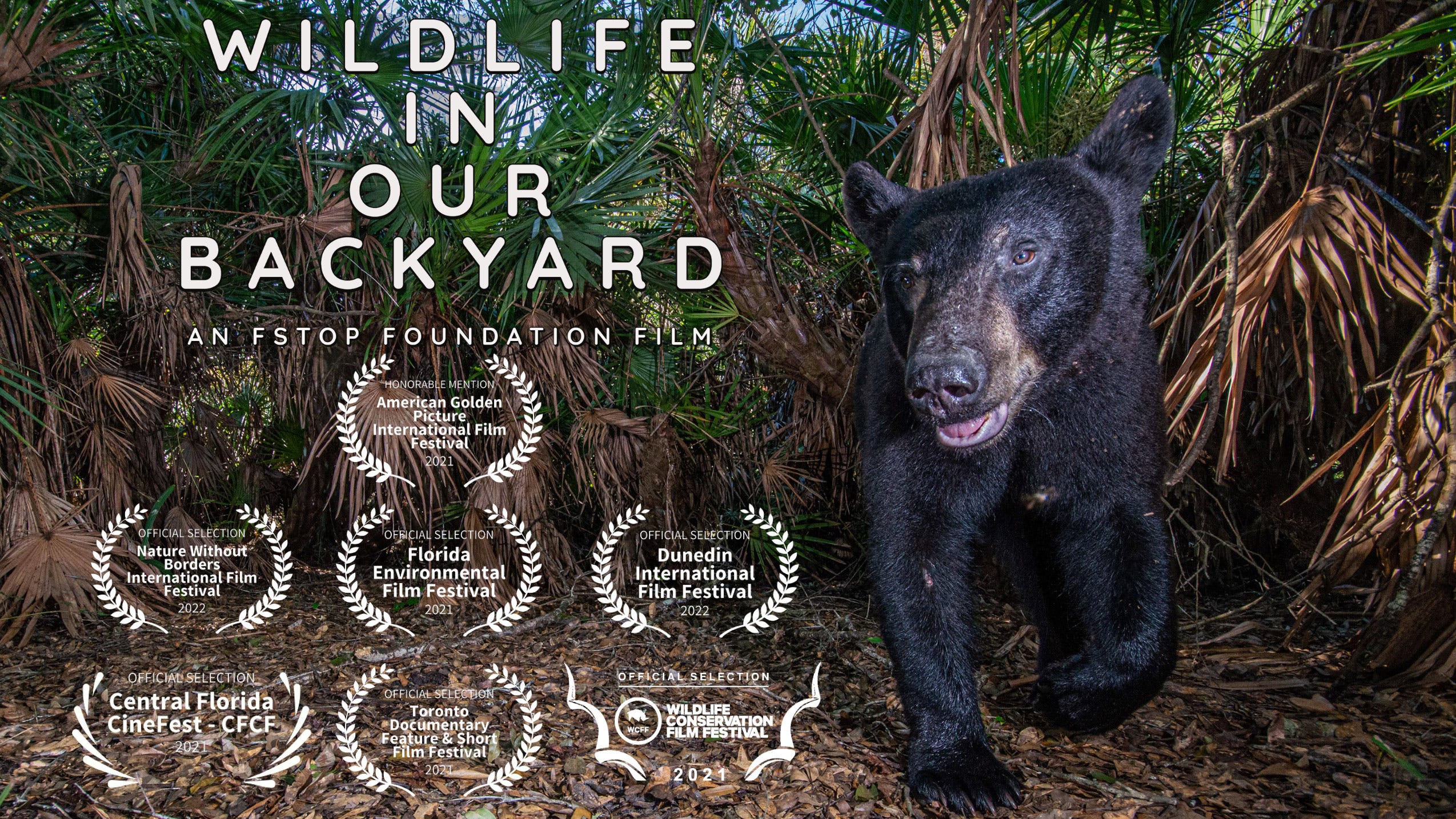 Wildlife in our Backyard: Short documentary hits film festival circuit