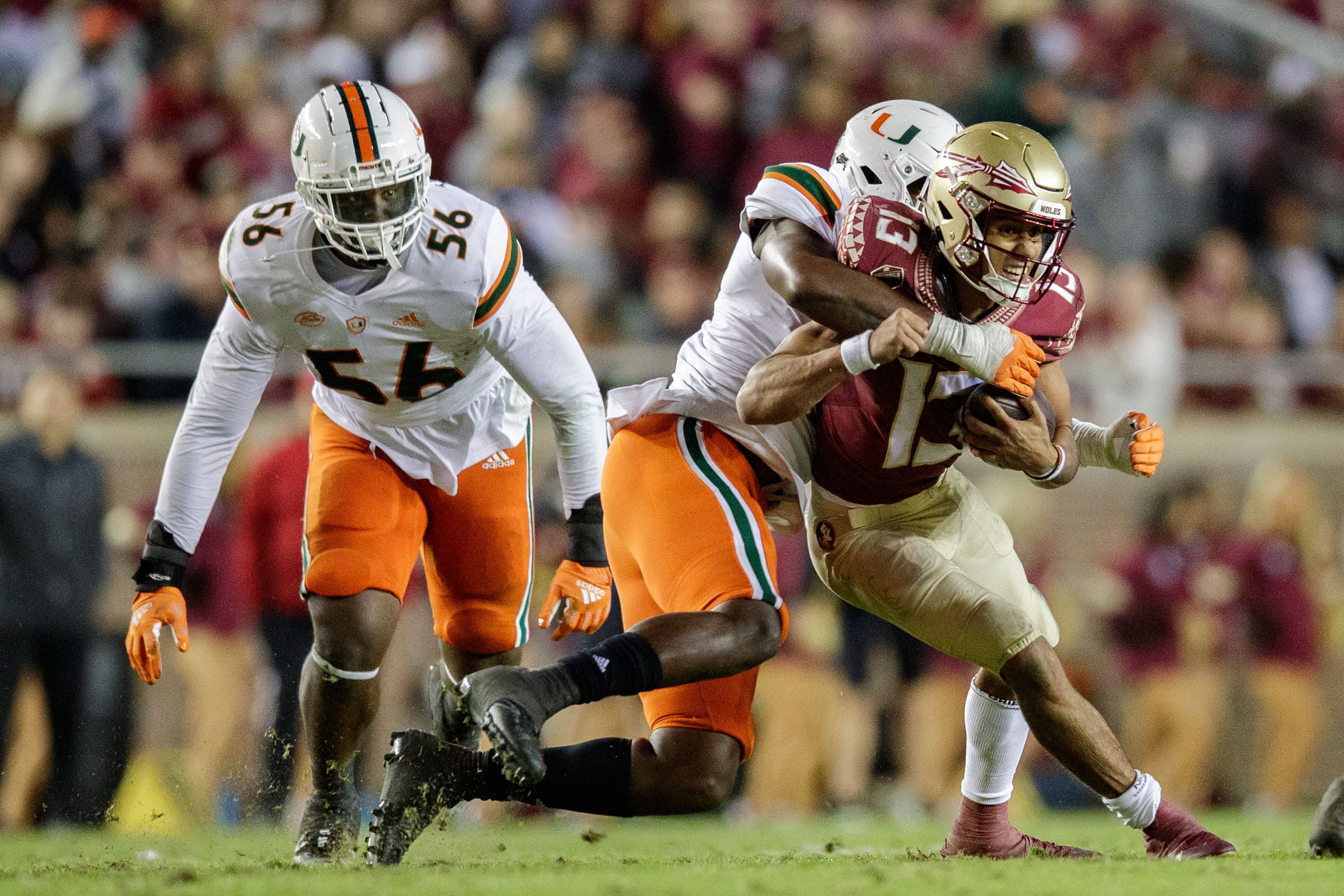 Sports FSU Seminoles - Jacksonville, FL | Florida Times-Union