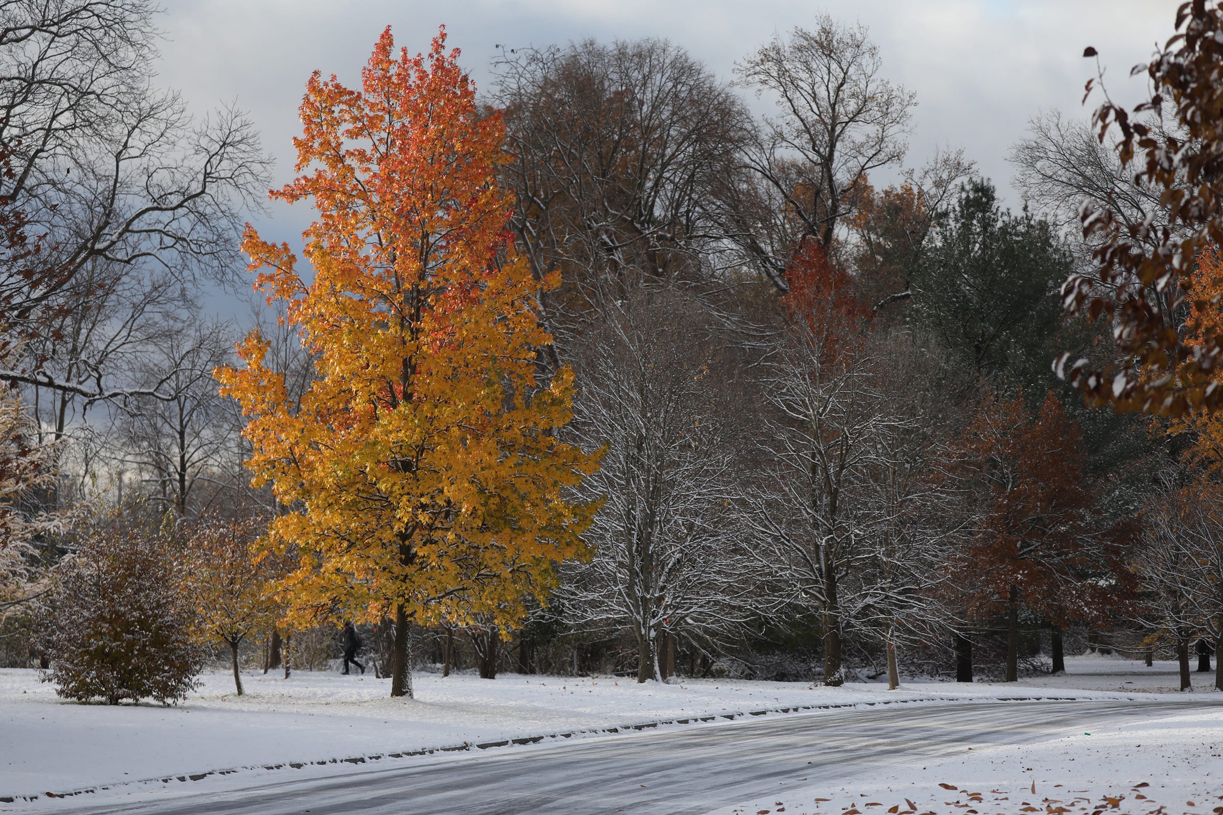 Rochester Weather: How Much Snow Did We Get? Plus, Thanksgiving Forecast