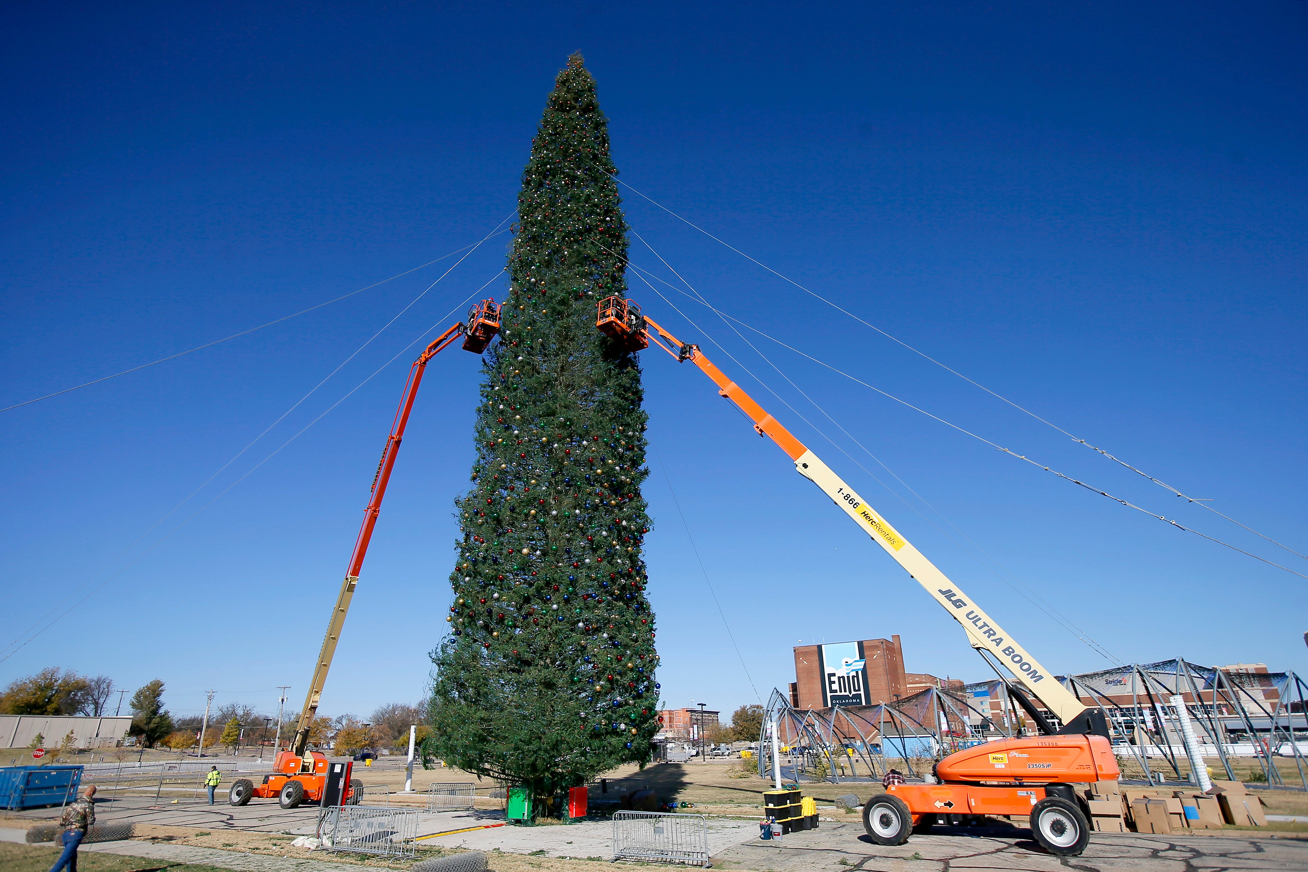 Dc Christmas Tree Oregon Trail 2022 50 States