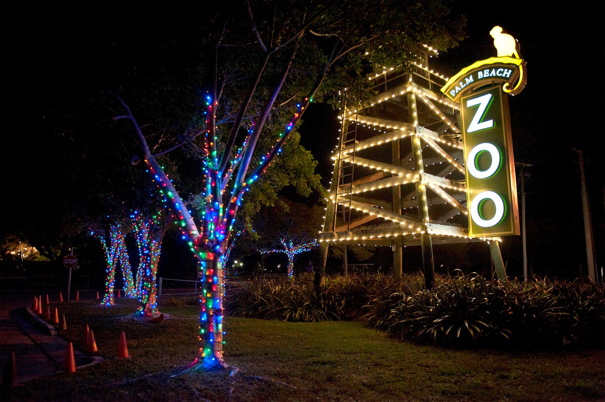 palm beach lighting