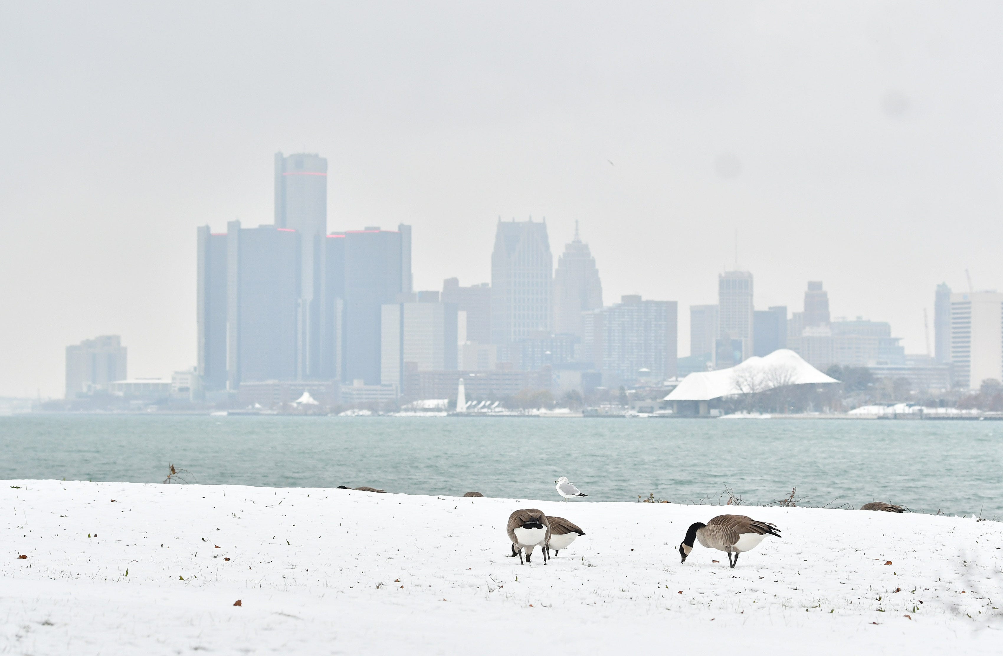 Michigan Sees Up To 4 5 Inches Of Snow In First Accumulation Of Season