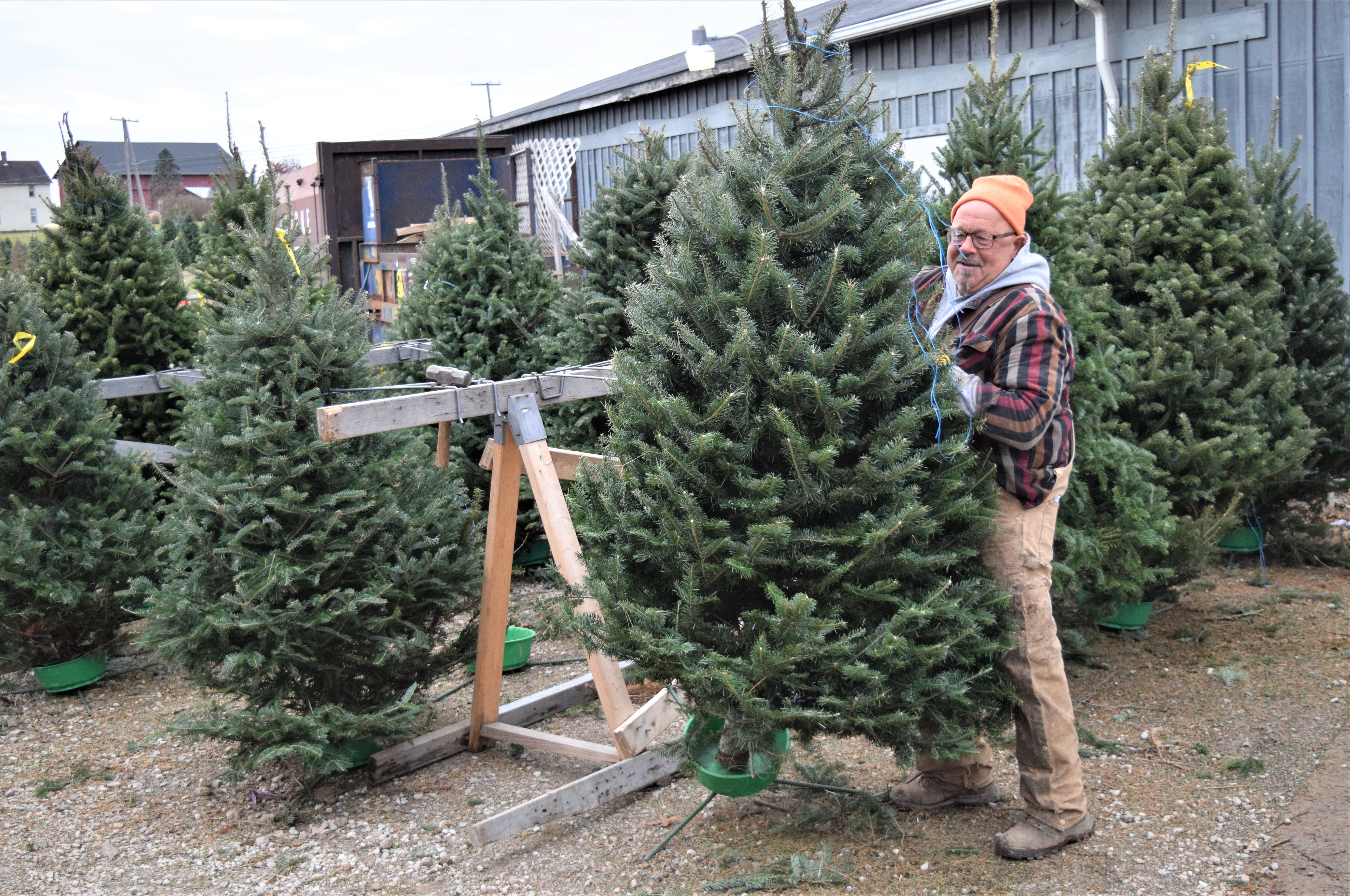 Christmas Tree Boom Seen Throughout Ashland, Wayne And Holmes Counties