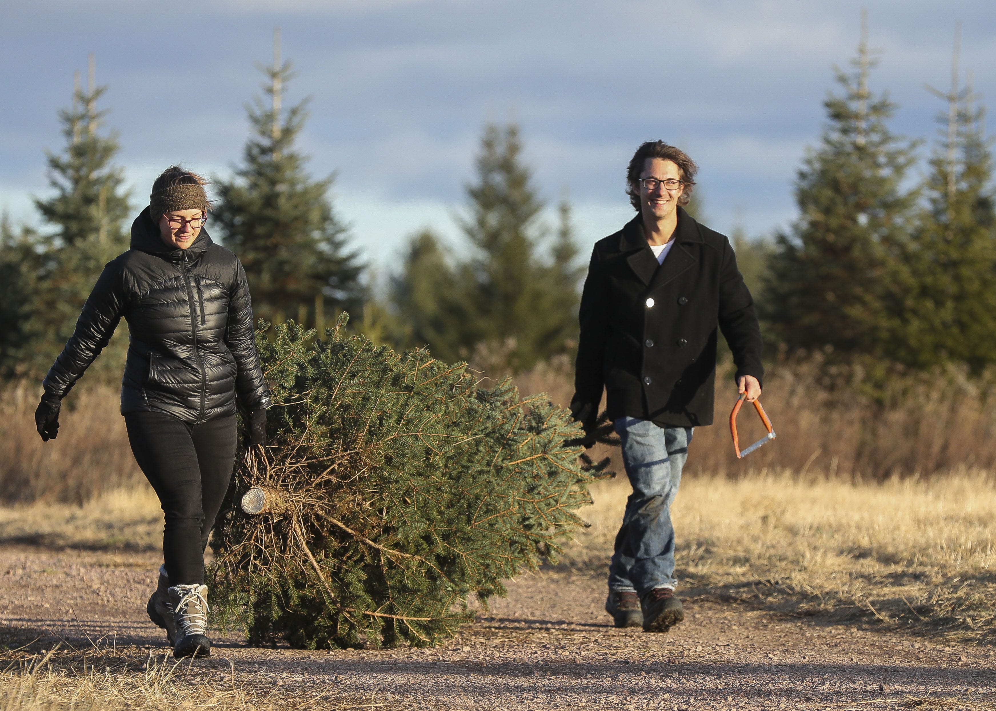 Wausau Christmas tree farm has been a family affair for nearly five decades