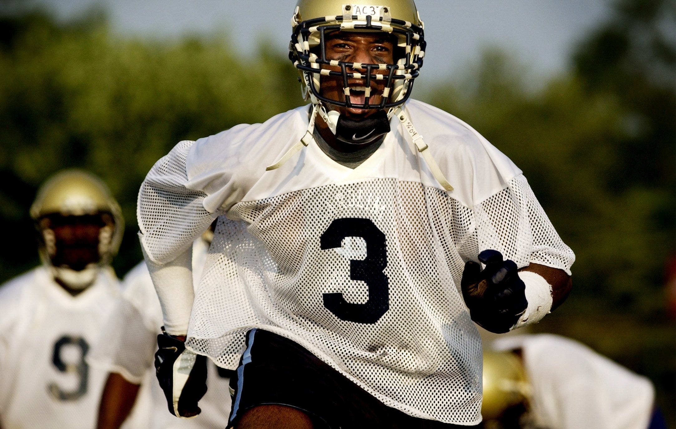 George Bell, Catawba, Running Back