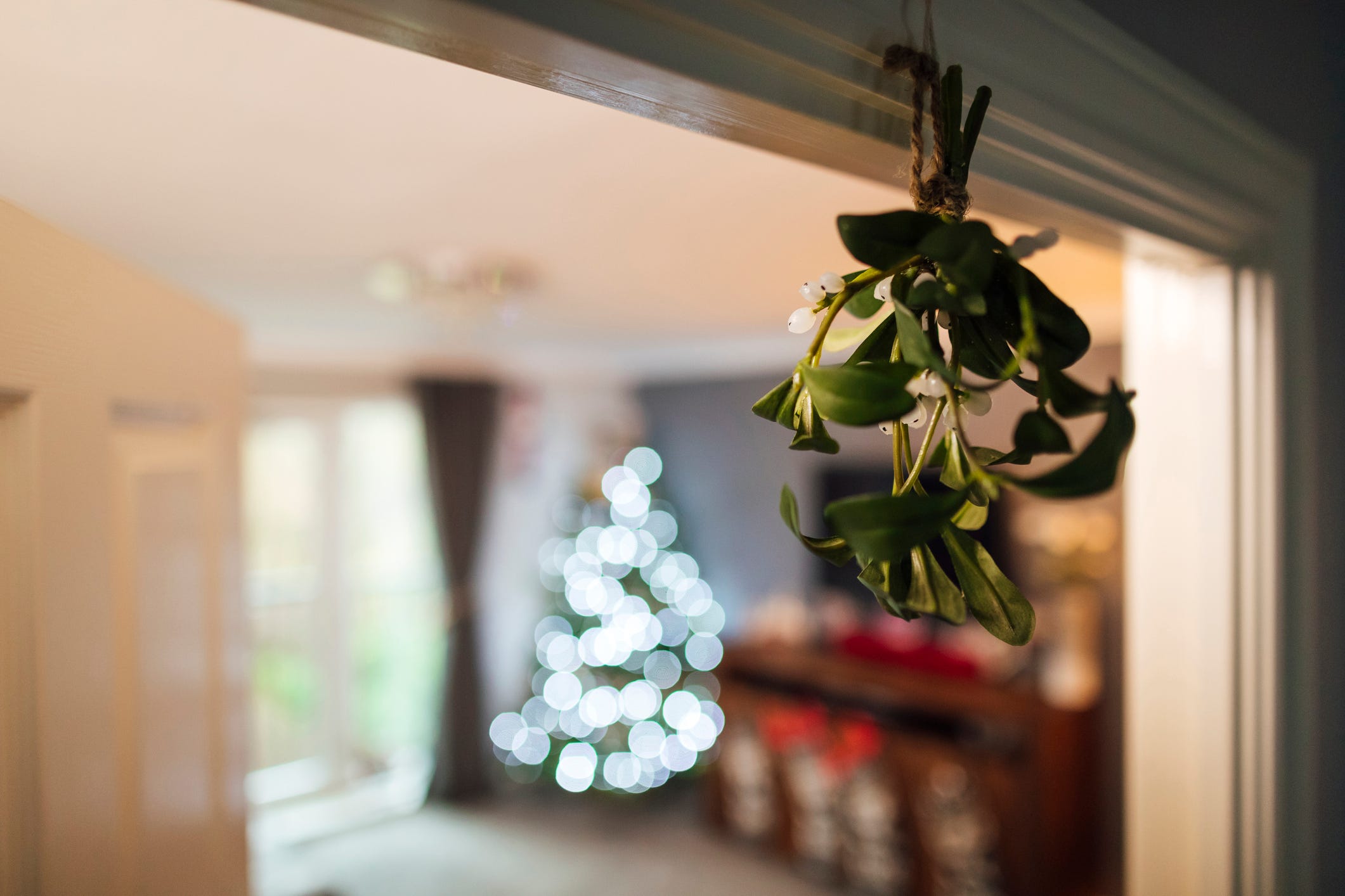 What Is Mistletoe? Why Do We Kiss Under It? Explaining The Tradition