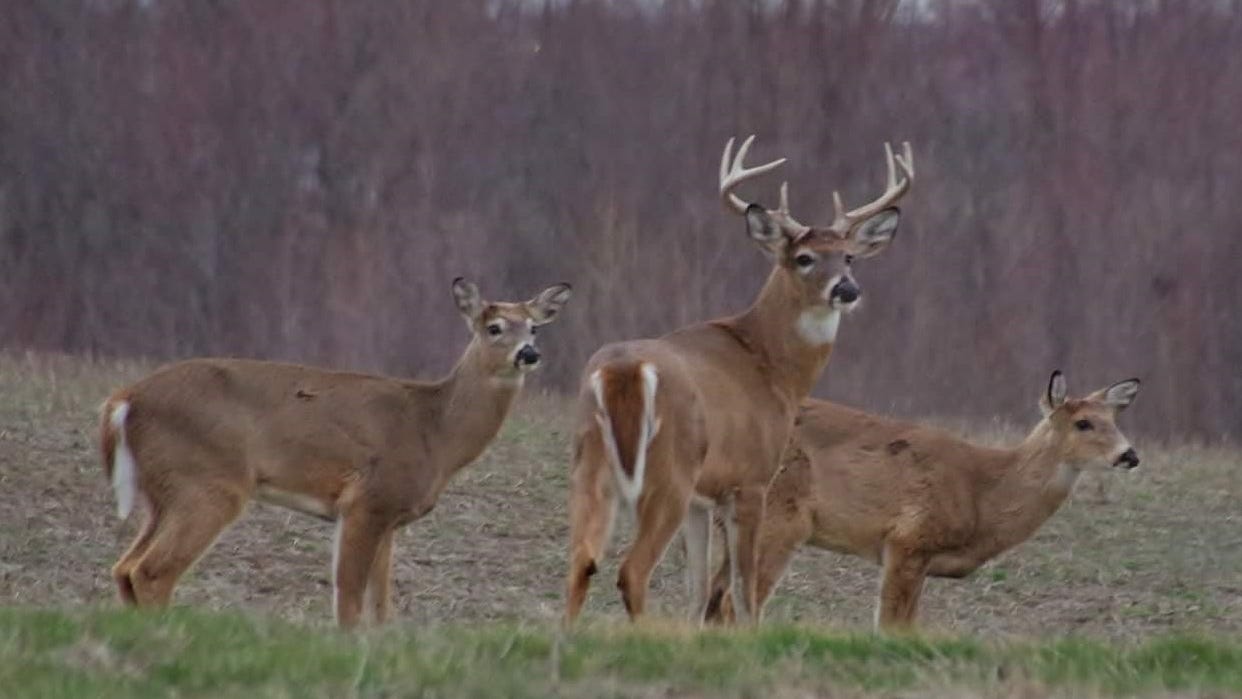 Indiana hunting, fishing licenses will cost more in 2022