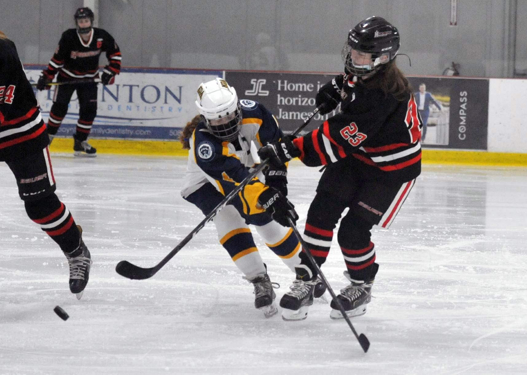 Hingham High girls hockey loses to Notre Dame Academy