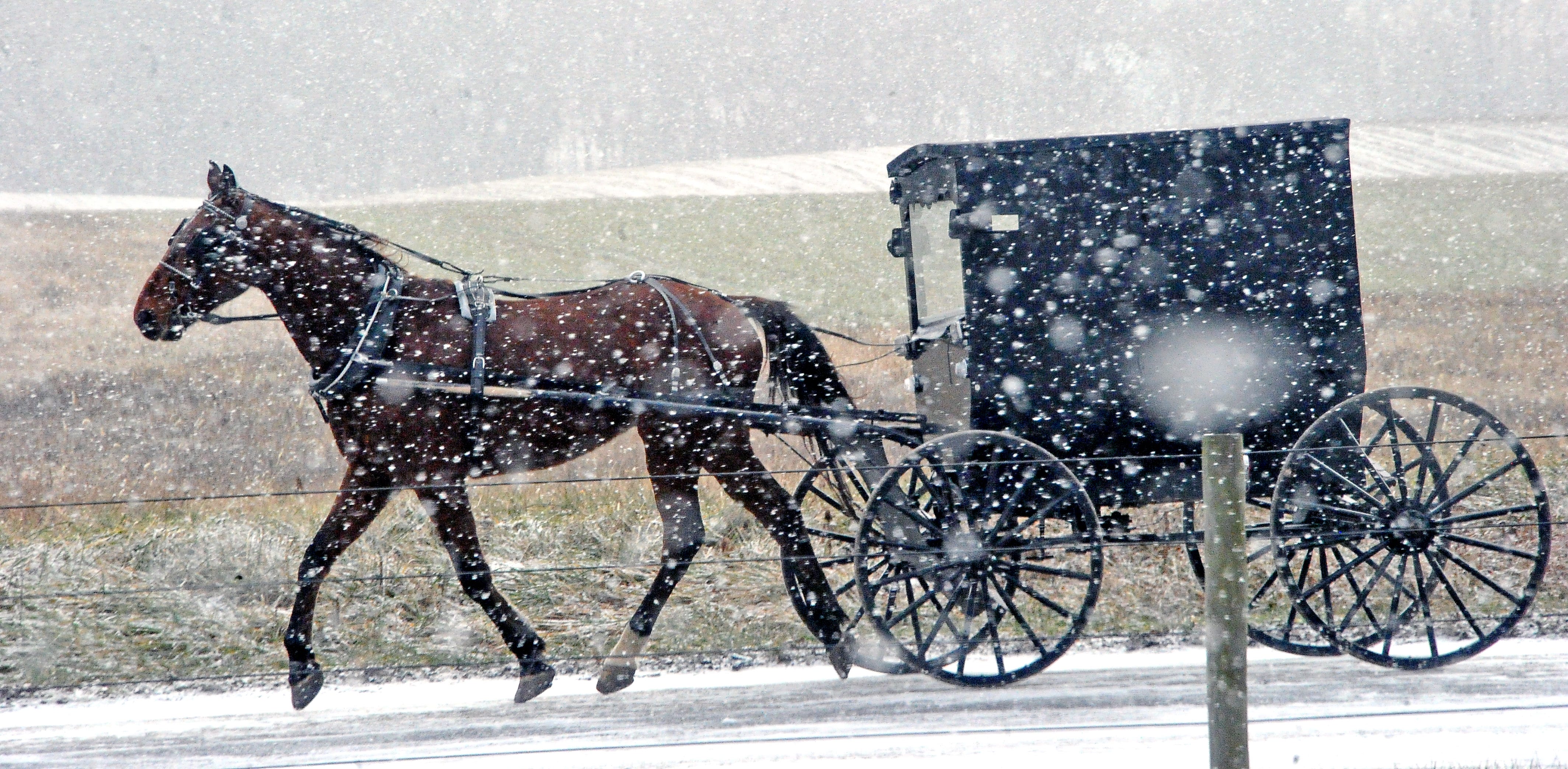 When Is Old Christmas Day 2022 Faith And Family: Ohio's Amish Ready To Celebrate Old Christmas Jan. 6