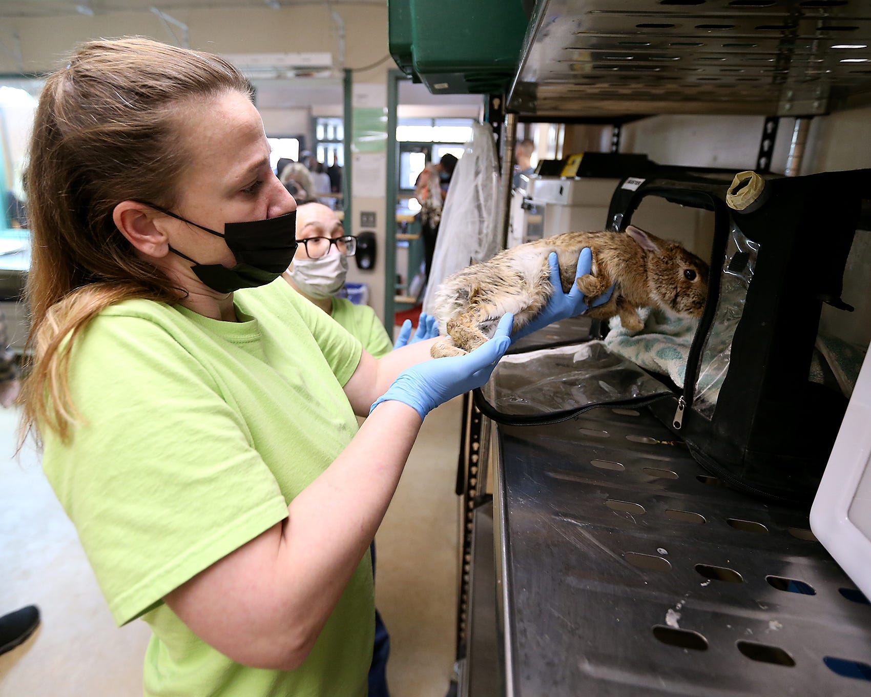 New England Wildlife Center to get $200,000 for animal care, education