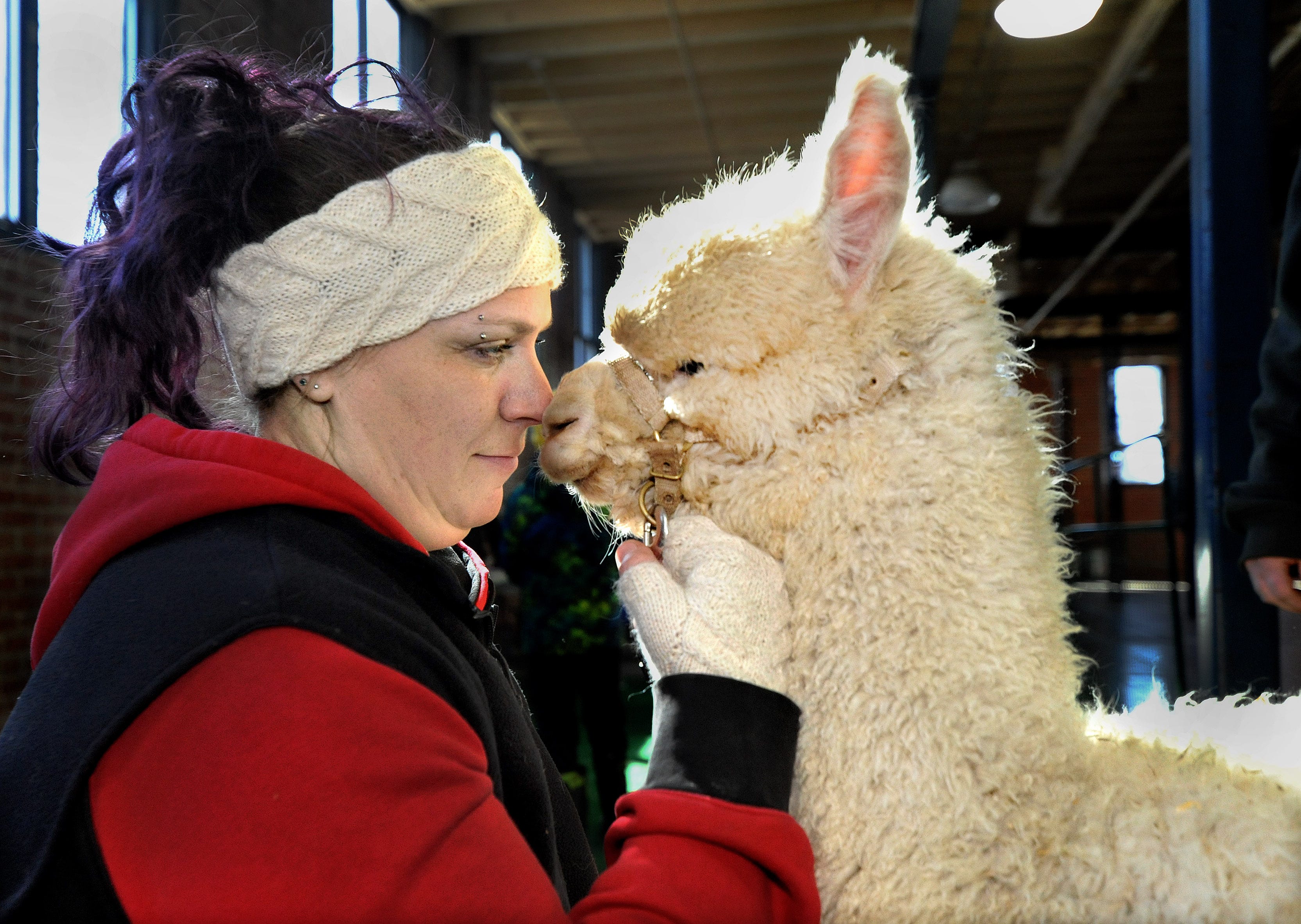 alpaca barn jacket