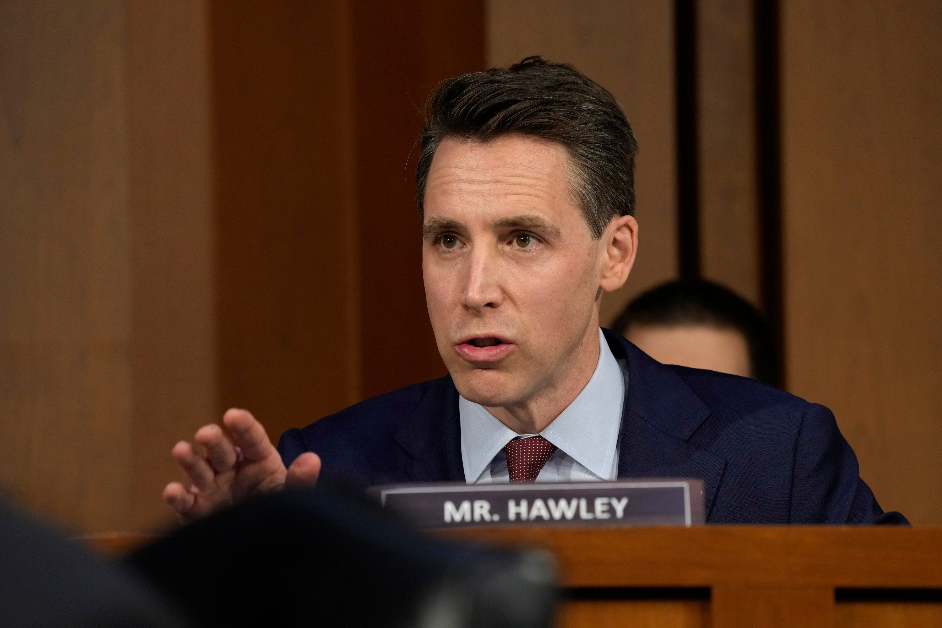 Josh Hawley Called Transphobic By Law Professor In Senate Hearing