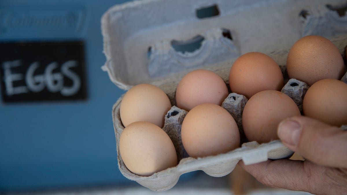 Clear up the confusion about free-range eggs