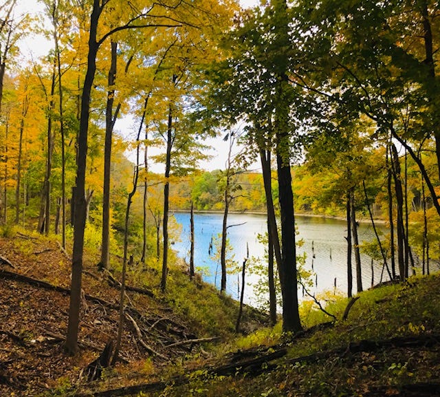 Ohio State Park reservations needed to camp: What to know