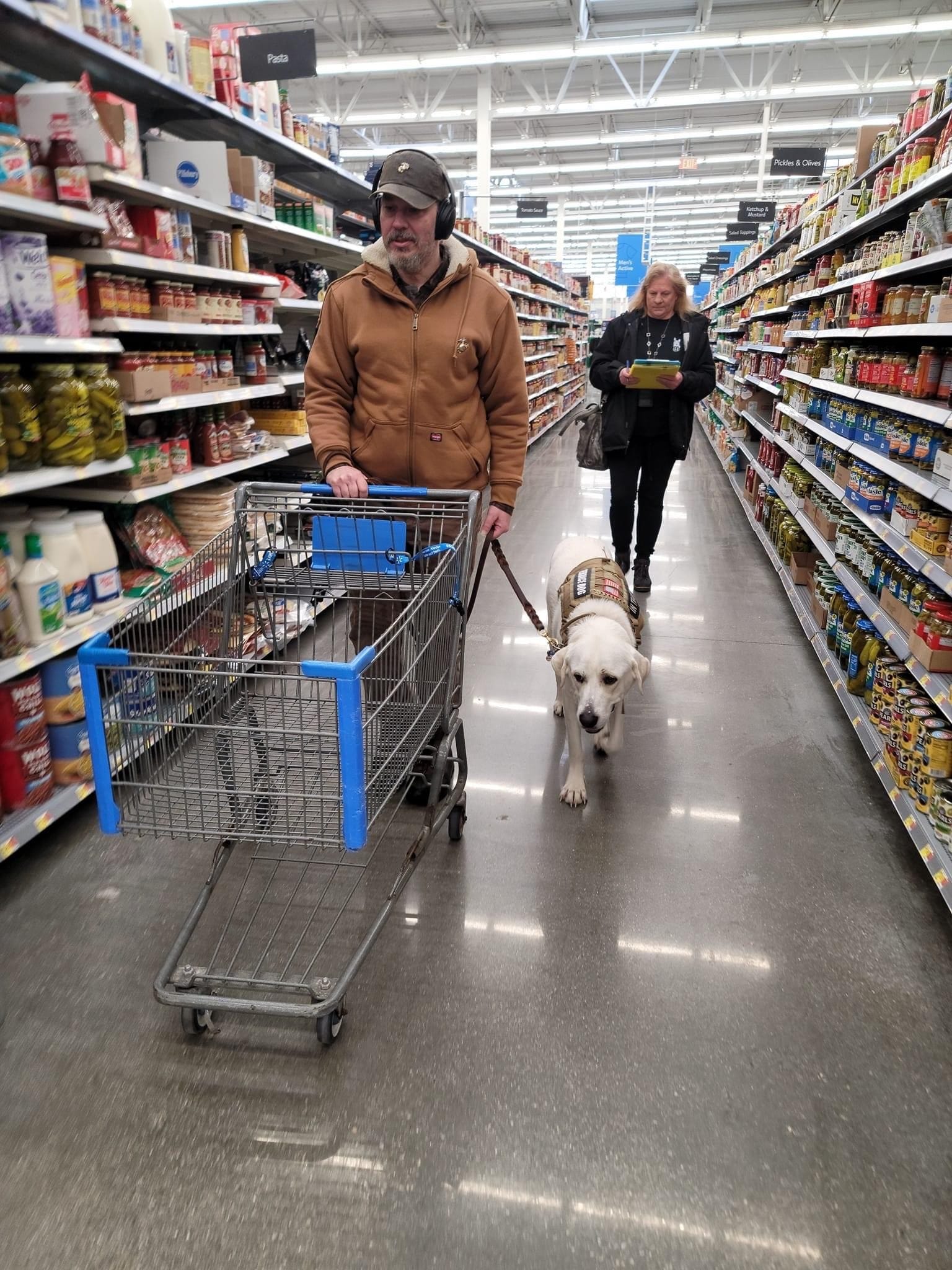 can you take a dog inside a grocery store