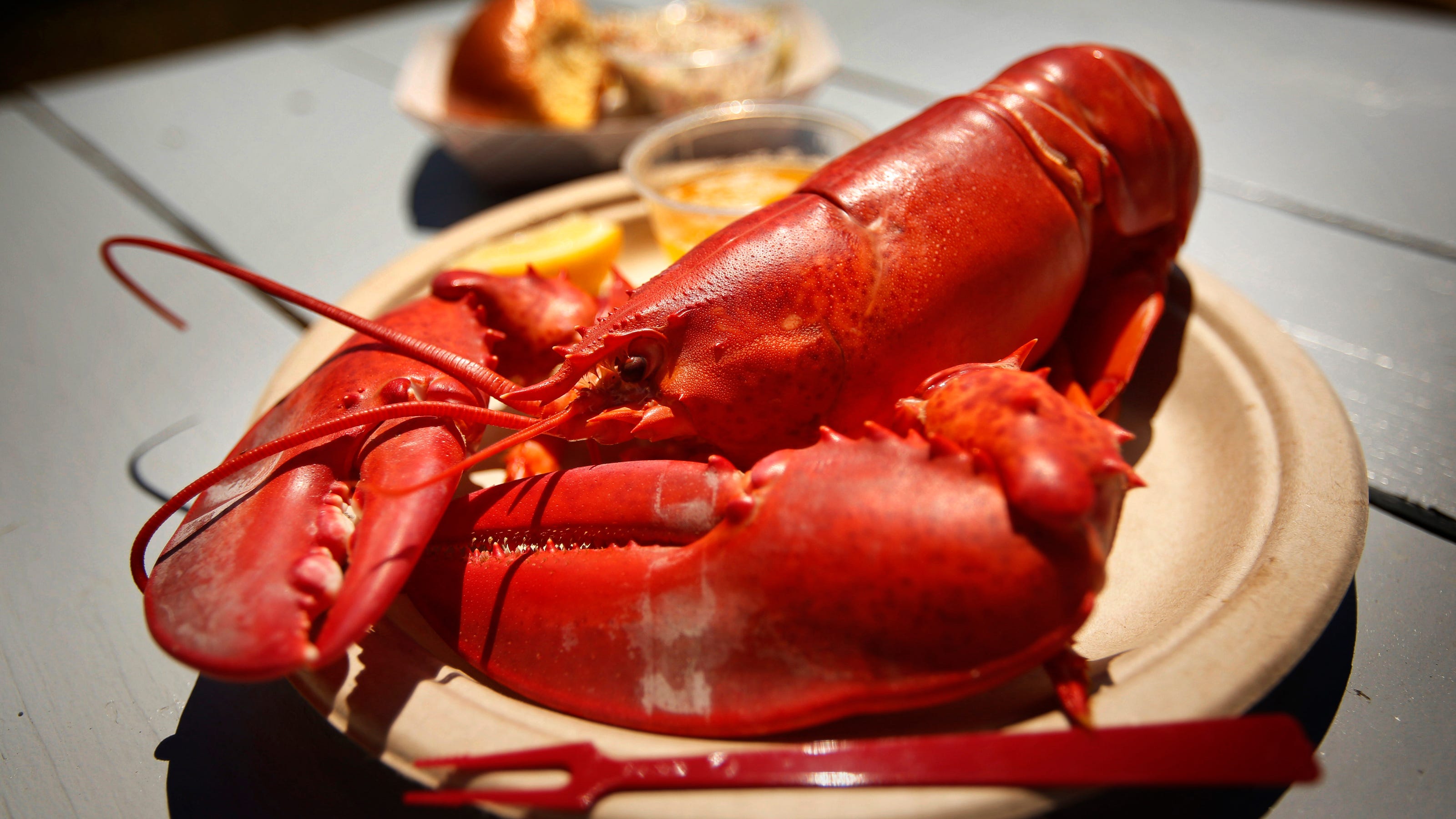 Lobster is a delicacy, but how do you eat it? Let us show you.