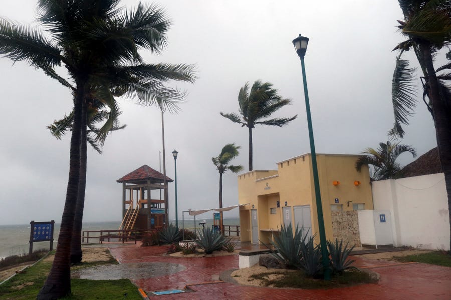 Palm trees blow in the wind before Hurricane Agatha makes landfall in Huatulco, Oaxaca State, Mexico on May 30, 2022.