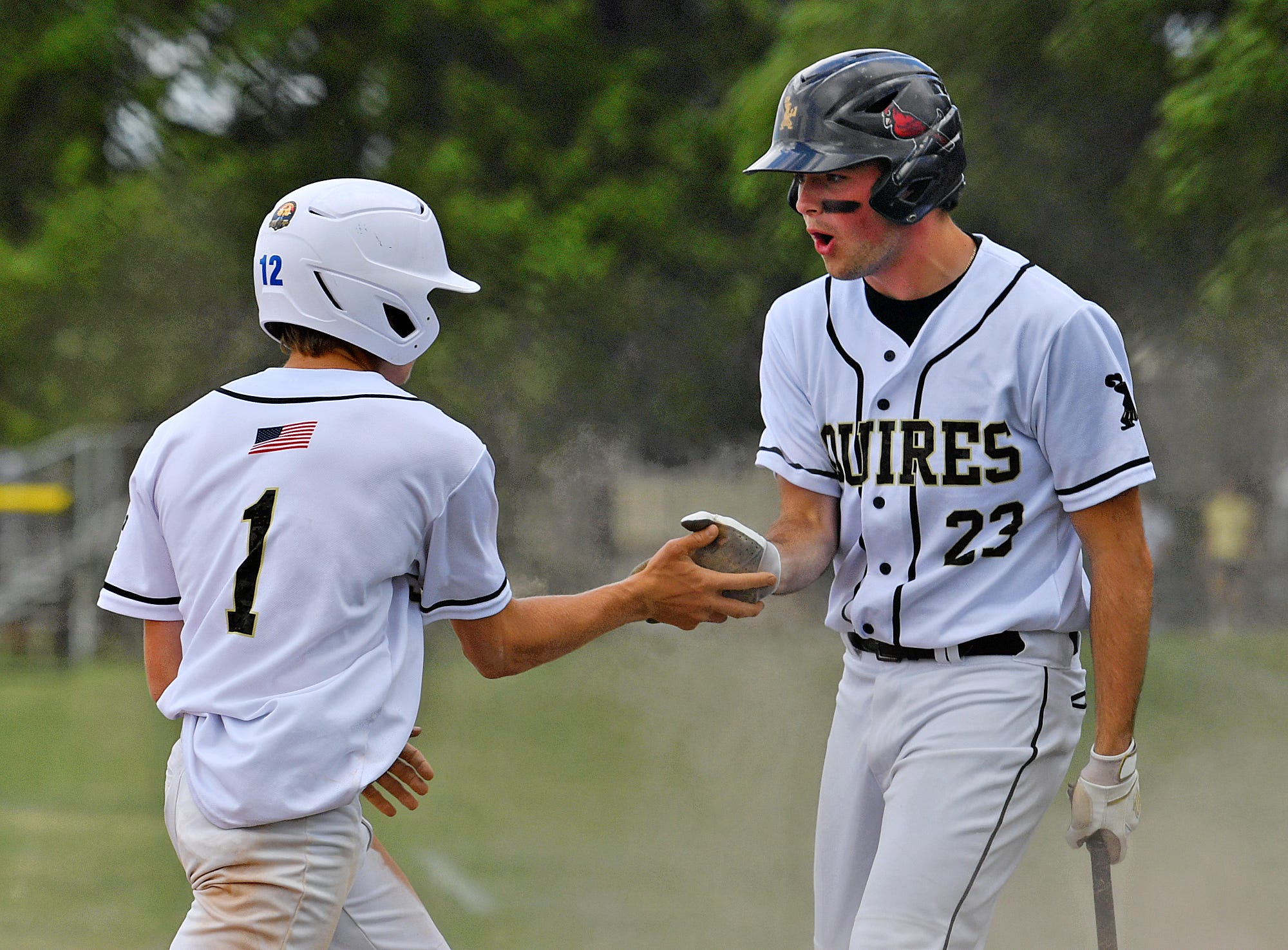 Delone Catholic rolls again, moves to 2A state baseball semifinal