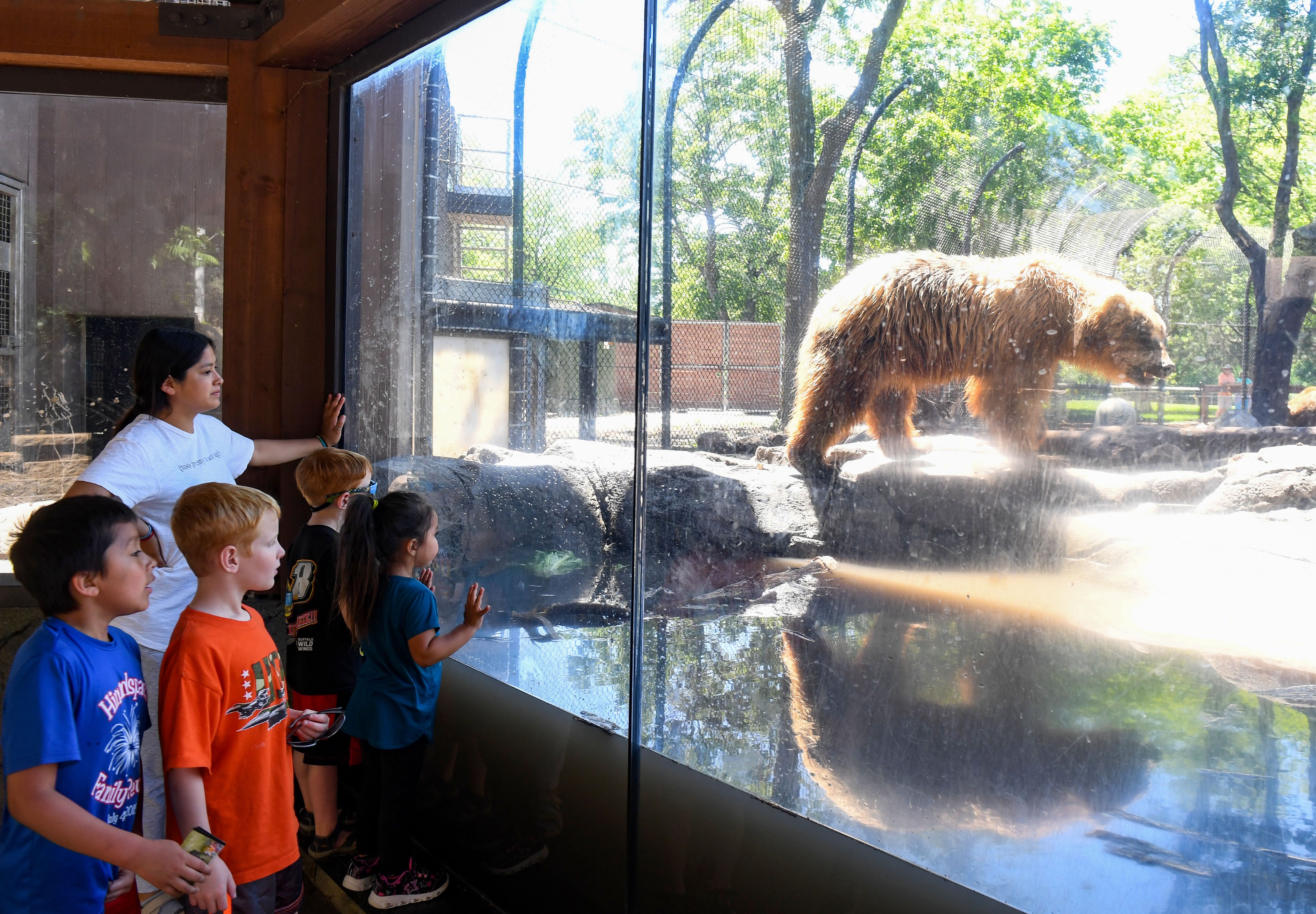 Great Plains Zoo In Sioux Falls Opens 2 New Exhibits More Coming Soon   36ef77c2 A61b 4f81 Bfe0 C7bb41c8142c Zoo 005.JPG