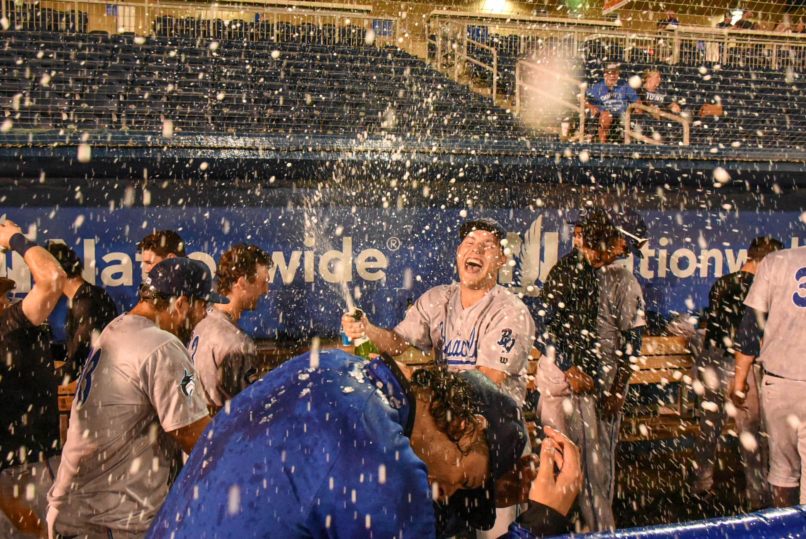 Pensacola Blue Wahoos - Pensacola News Journal