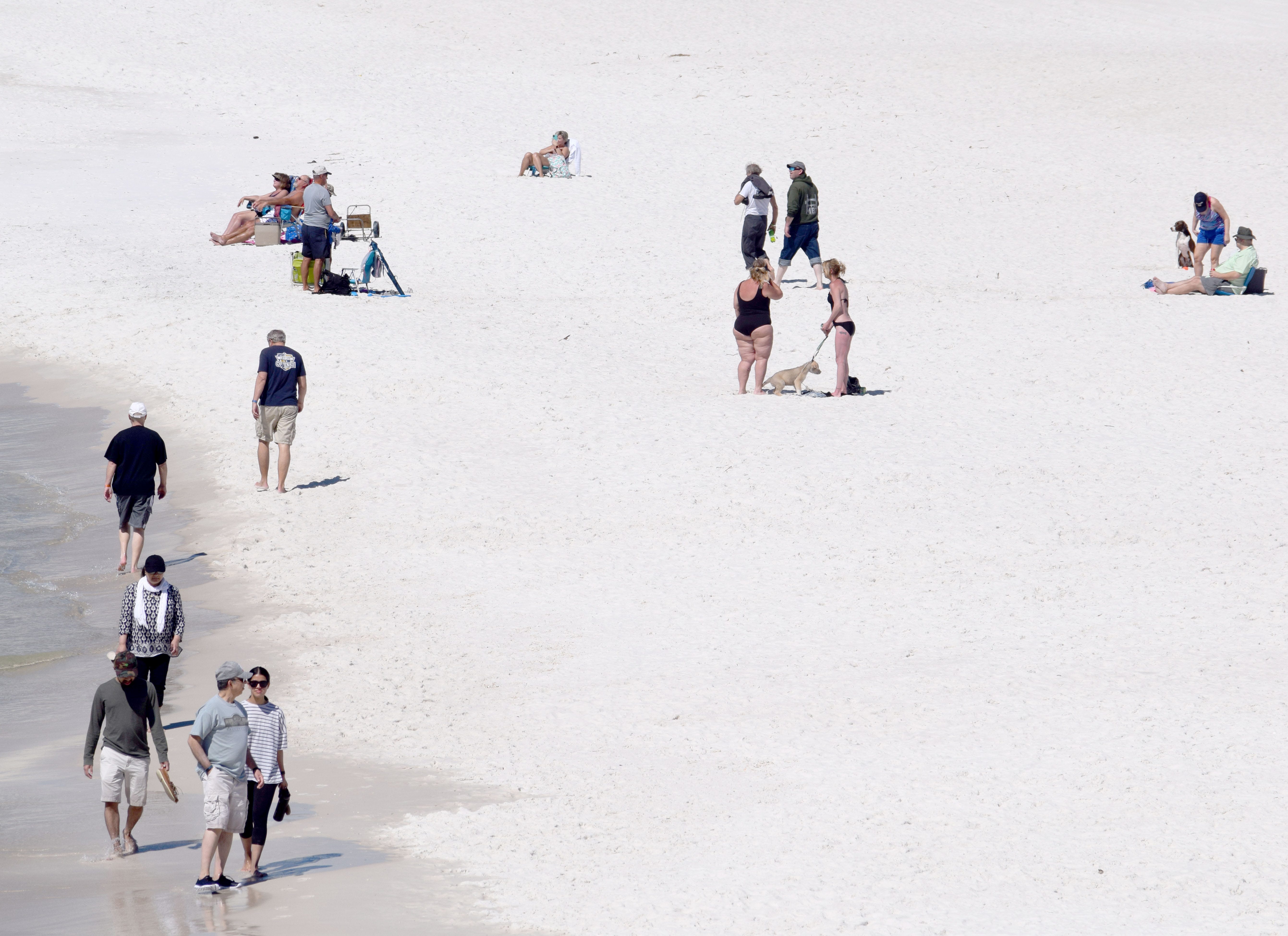 Panama City Beach S Dog Beach At Pier Park Named Among 30 Best In U S   295a1cdb 9eb8 4059 9ce9 67a55c1231b9 Beach 3 