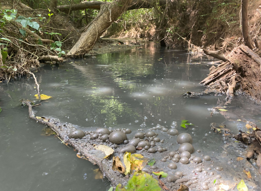 The gray waters of the tributary were photographed by the Division of Environmental Protection for their investigation.  EPD says soil amendment runoff from a farm in Washington, Georgia, killed nearly 1,700 fish in the Little River.