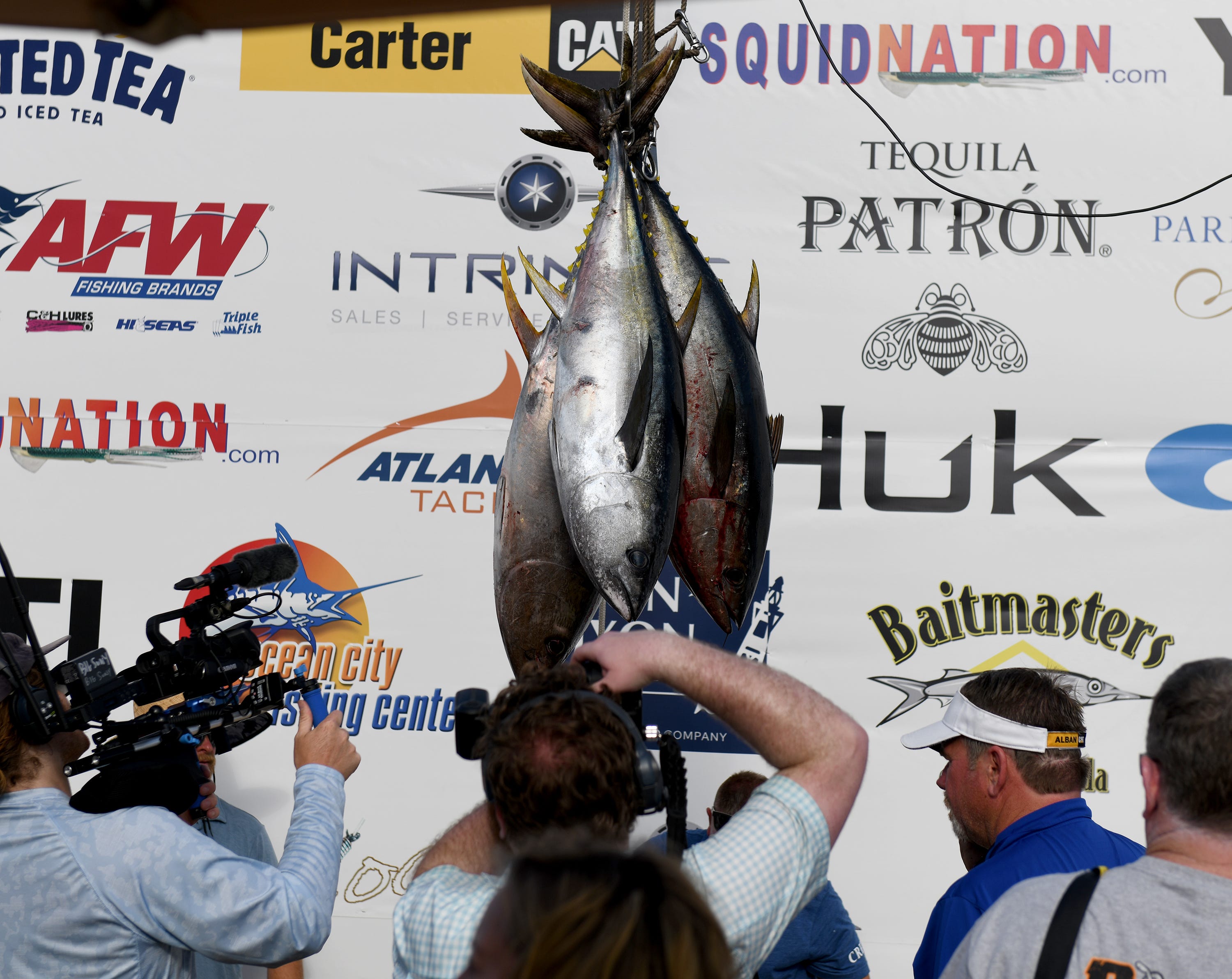 Massive bigeye tuna sets new record at Ocean City Tuna Tournament