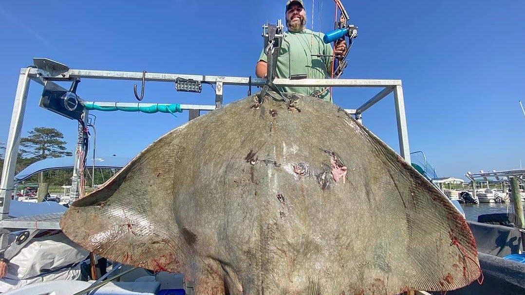 Pennsylvania bow fisherman breaks world record with butterfly ray