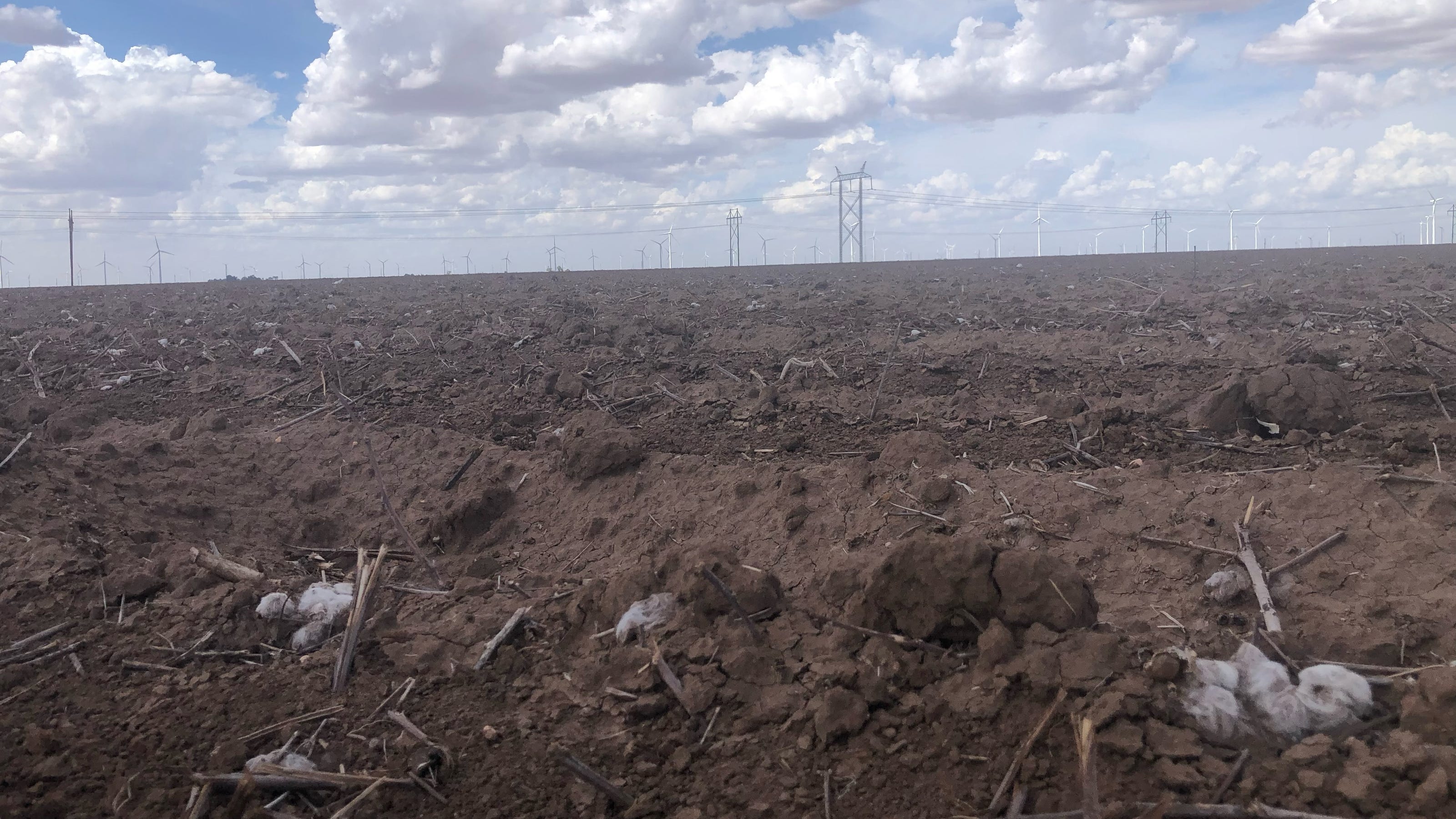 In ag. & eco: Tough cotton year, Hurricane Ian, human composting, more