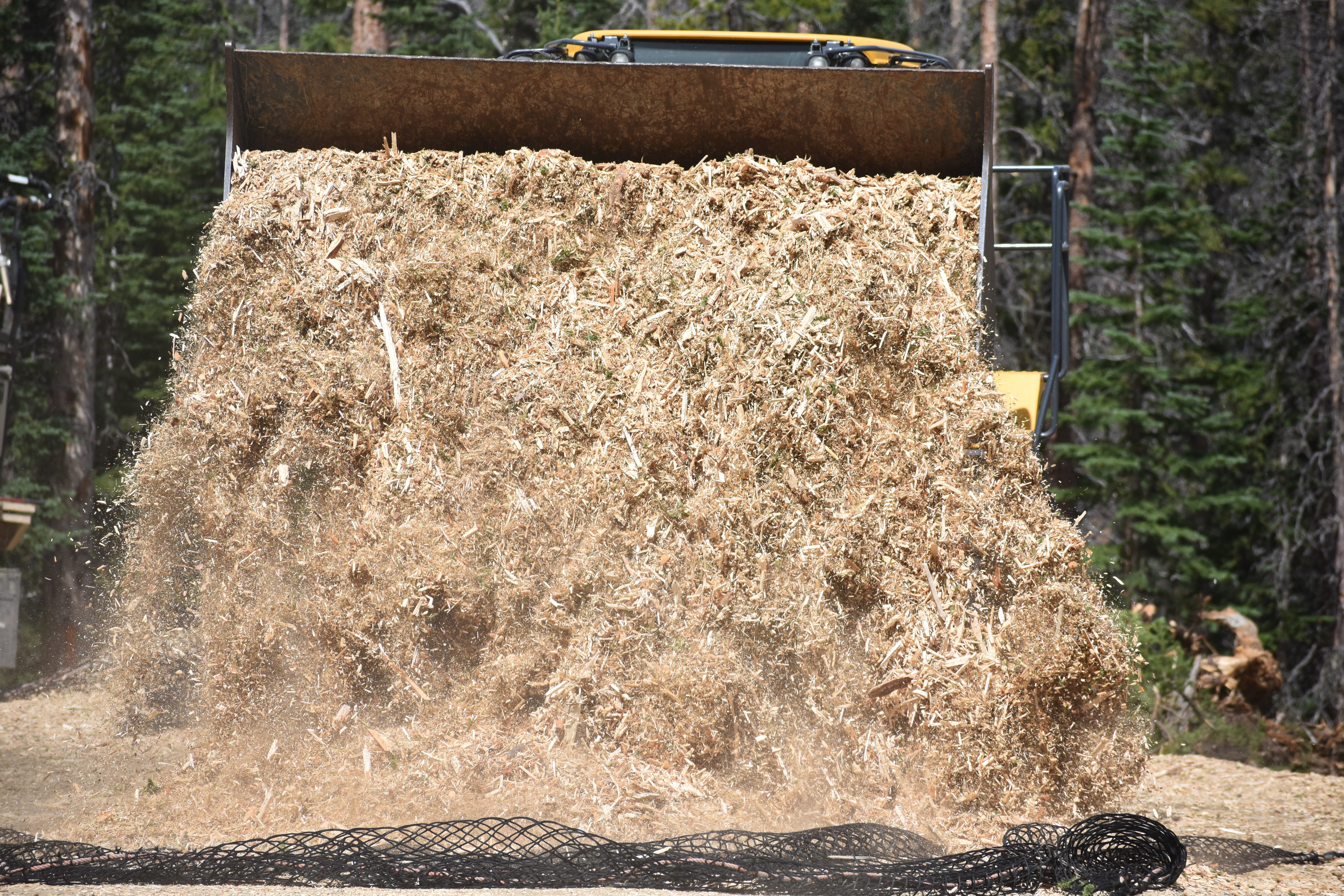 The place and when to get free wooden mulch this Could in Fort Collins