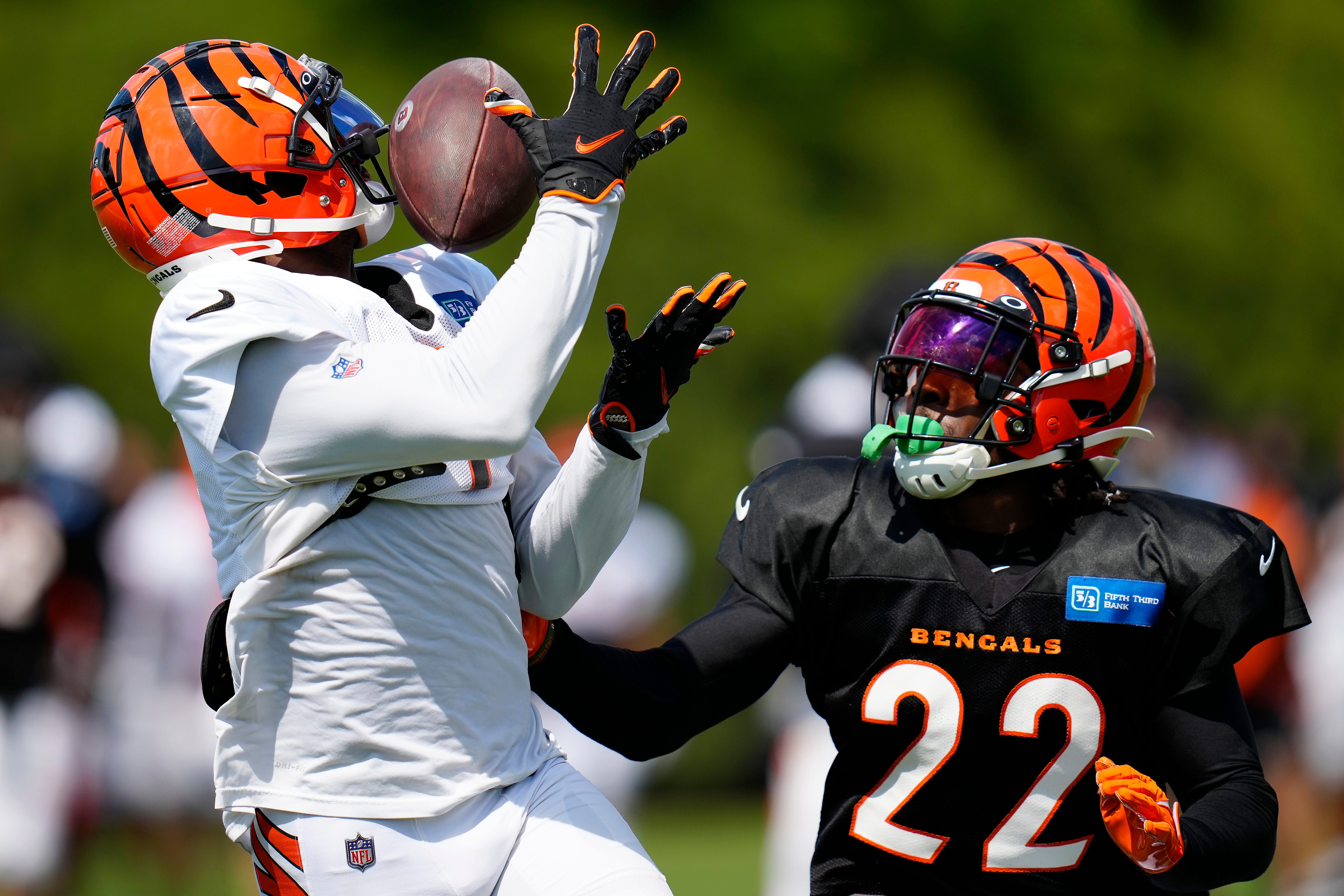 PHOTOS: Cincinnati Bengals Training Camp, Aug. 17