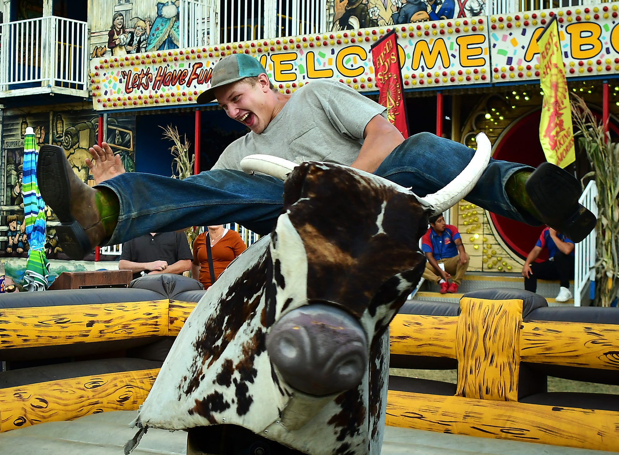 are dogs allowed at woodstock fair