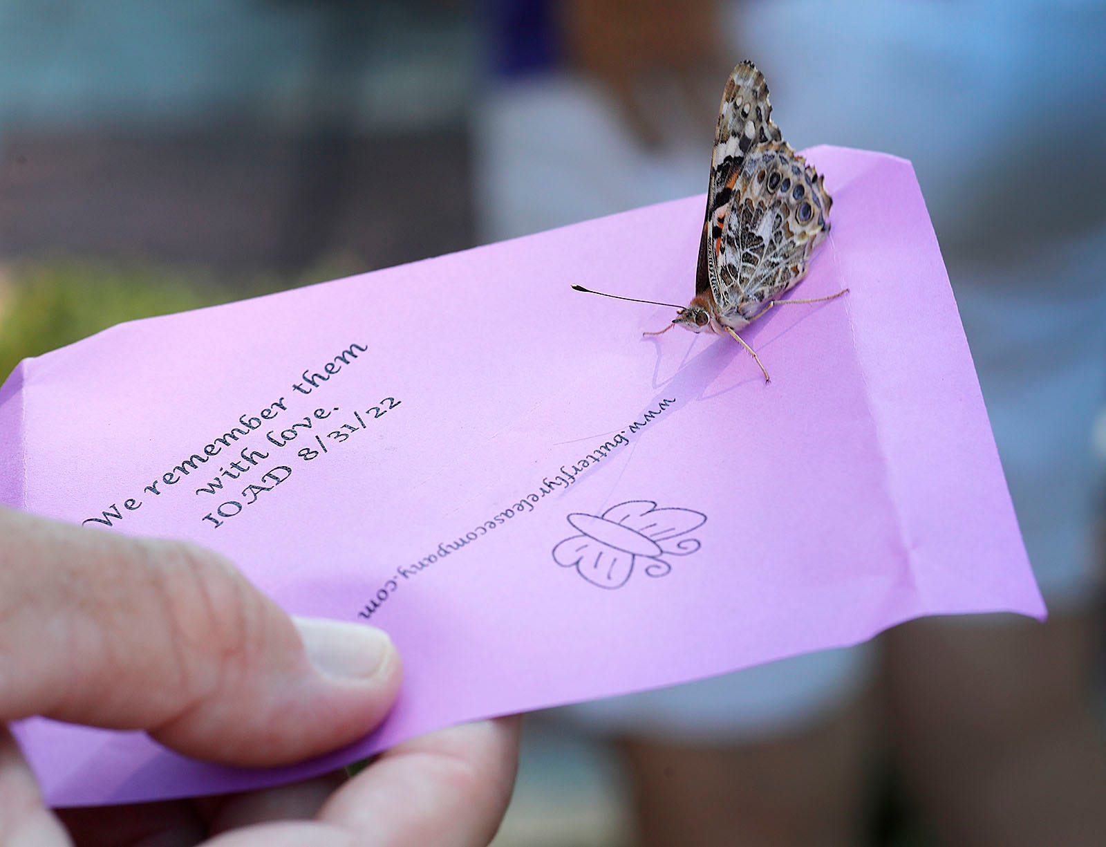 names-faces-and-butterflies-part-of-braintree-overdose-awareness-day