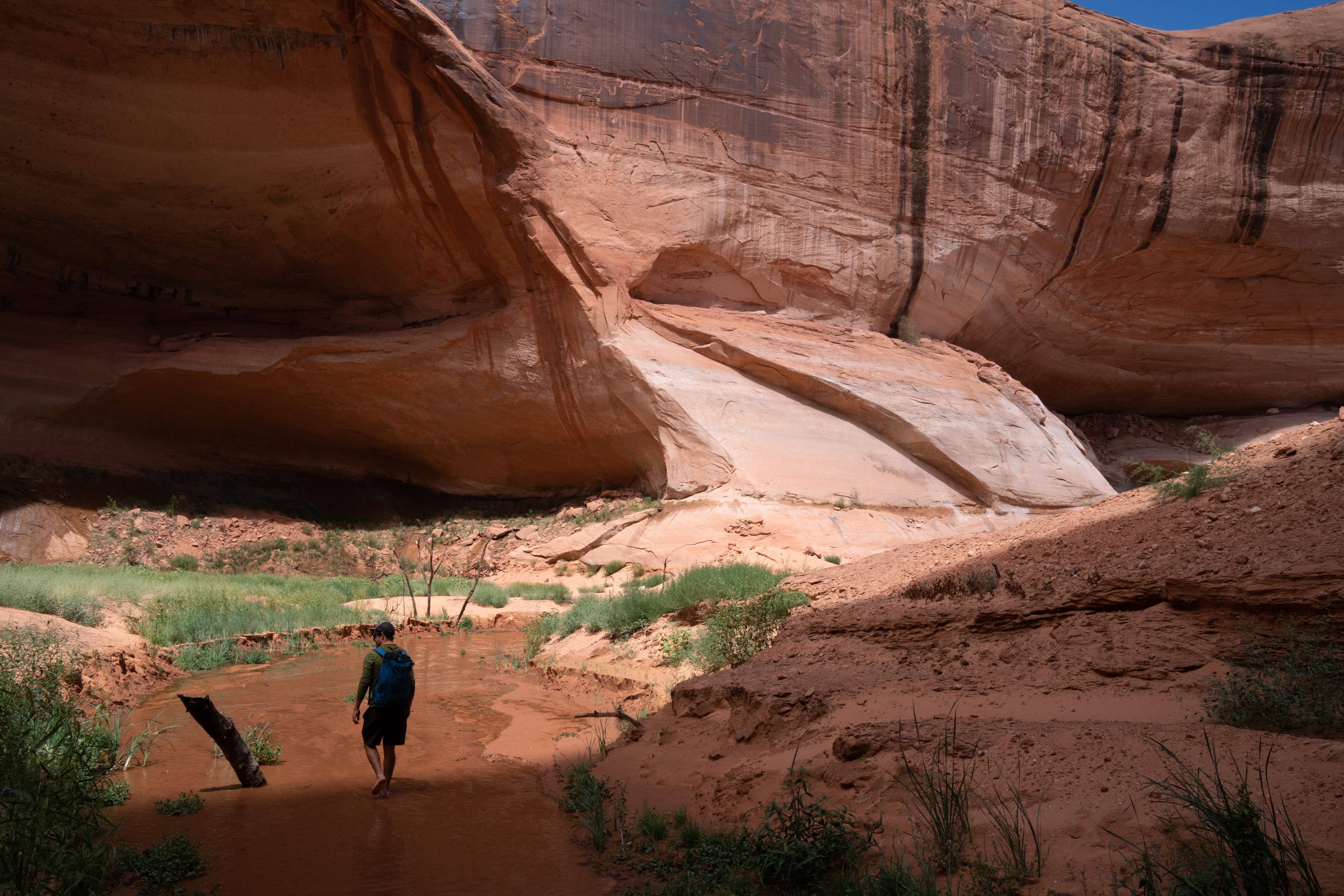 A rebounding Lake Powell, an exiting Salt Lake Bees and a dog-friendly city