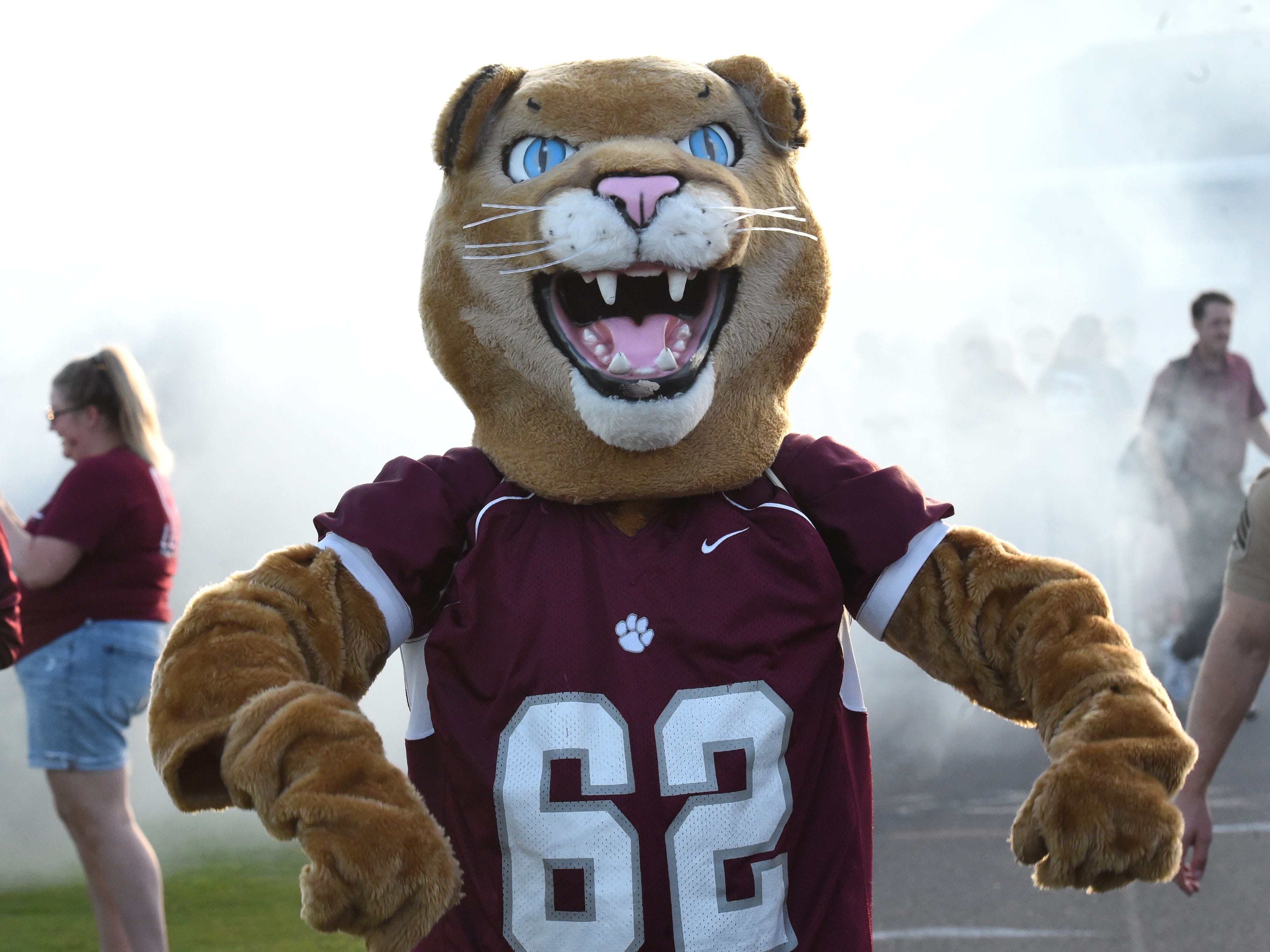 High school football photos: Waynesboro at Stuarts Draft